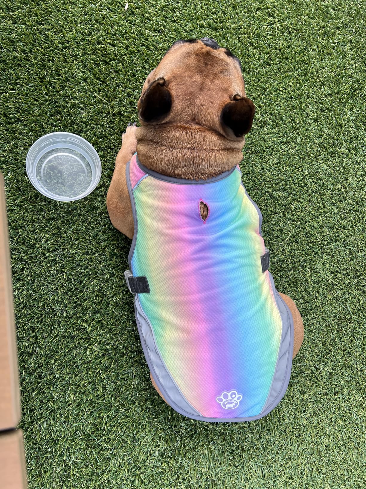 Canada Pooch Dog Cooling Vest - Evaporative Cooling Vest for Dogs with Breathable Mesh Material & Reflective Lining, Adjustable Dog Cooling Vest Great for Dogs 12 (11-13