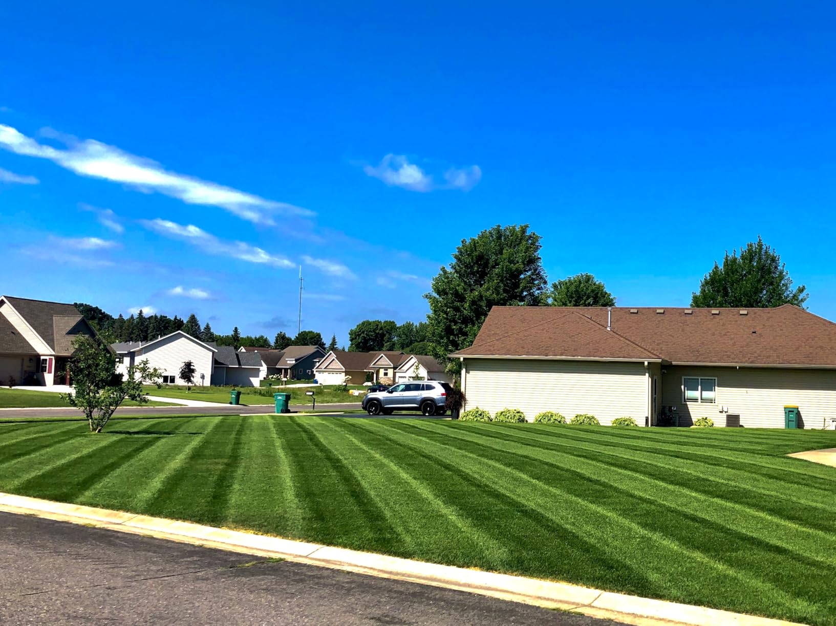 TORO Lawn Striping System customer photo 1