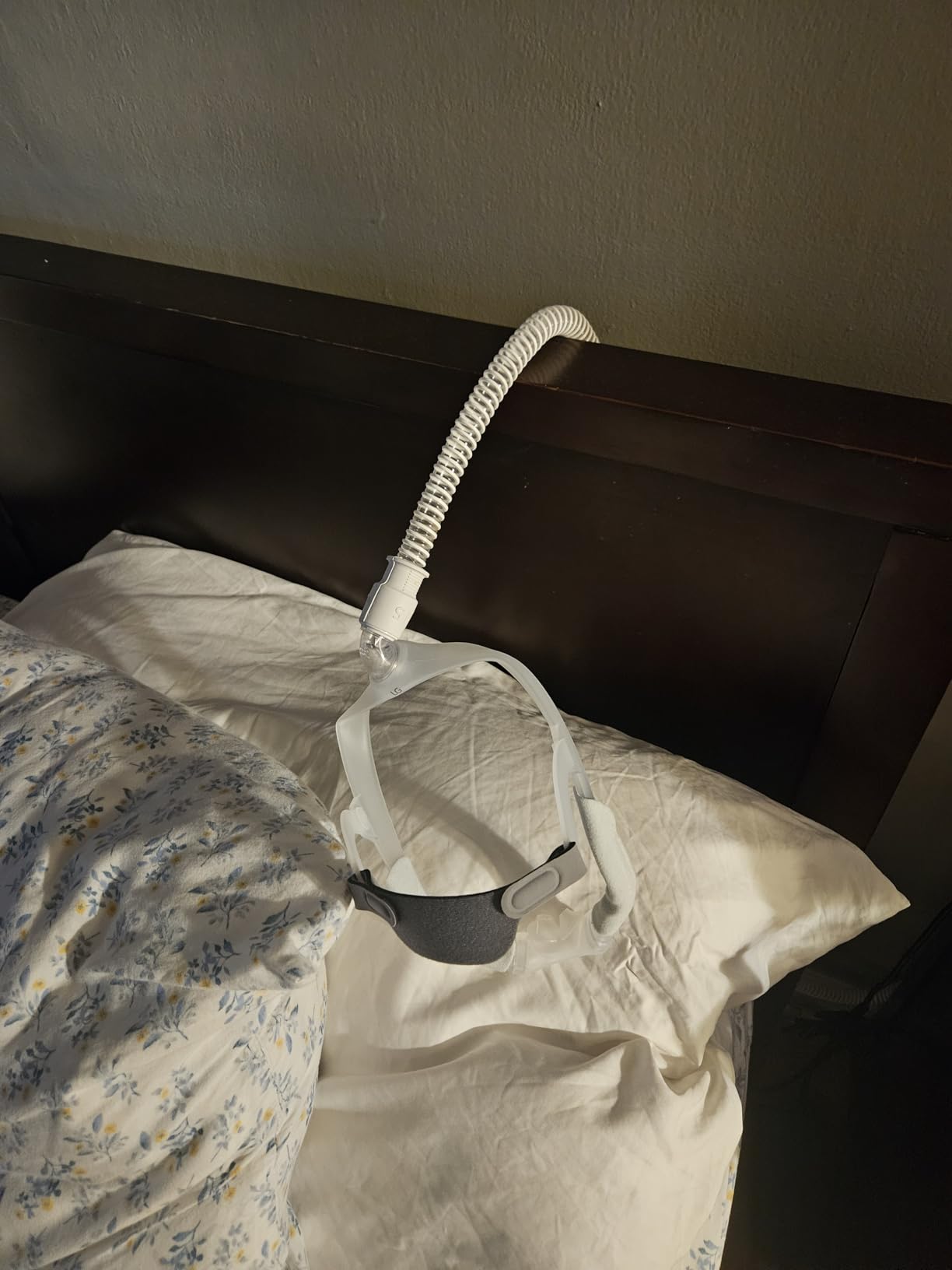 Philips Respironics DreamWear Nasal Mask Frame (Large) customer photo 2