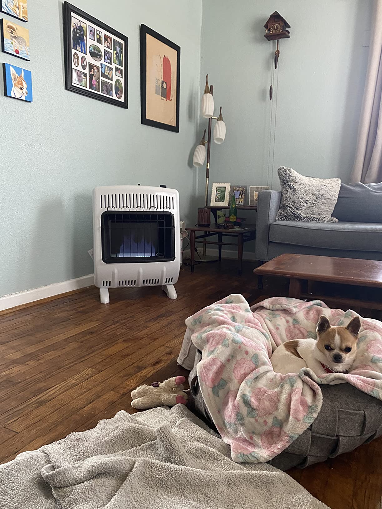 20,000 BTU Vent Free Blue Flame Propane Heater customer photo 1