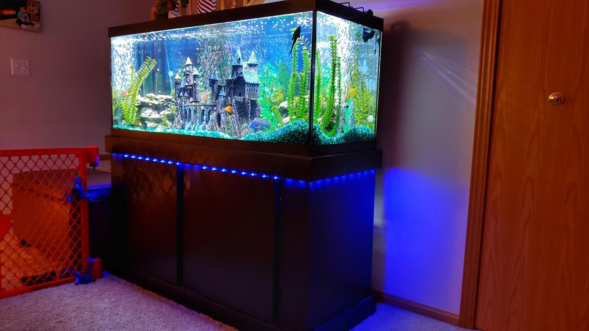 BASON LIGHTING TV LED Backlight, 14.76ft USB Led Lights Strip for 60-70 TV/Monitor Backlight, LED TV Lights with Remote, 4096 DIY Colors TV Bias Lighting for HDTV, PC,Updated customer photo 1