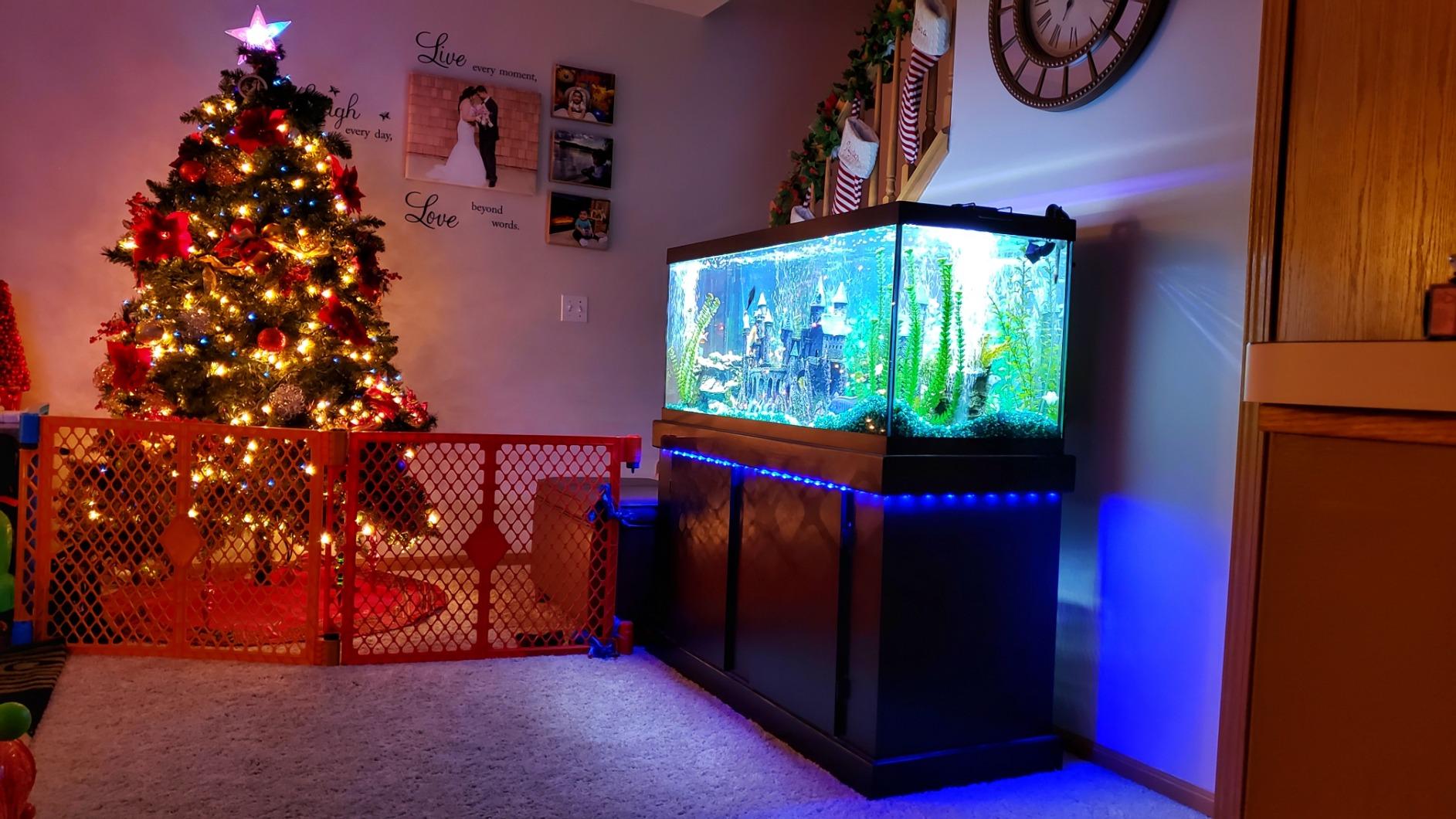 BASON LIGHTING TV LED Backlight, 14.76ft USB Led Lights Strip for 60-70 TV/Monitor Backlight, LED TV Lights with Remote, 4096 DIY Colors TV Bias Lighting for HDTV, PC,Updated customer photo 2