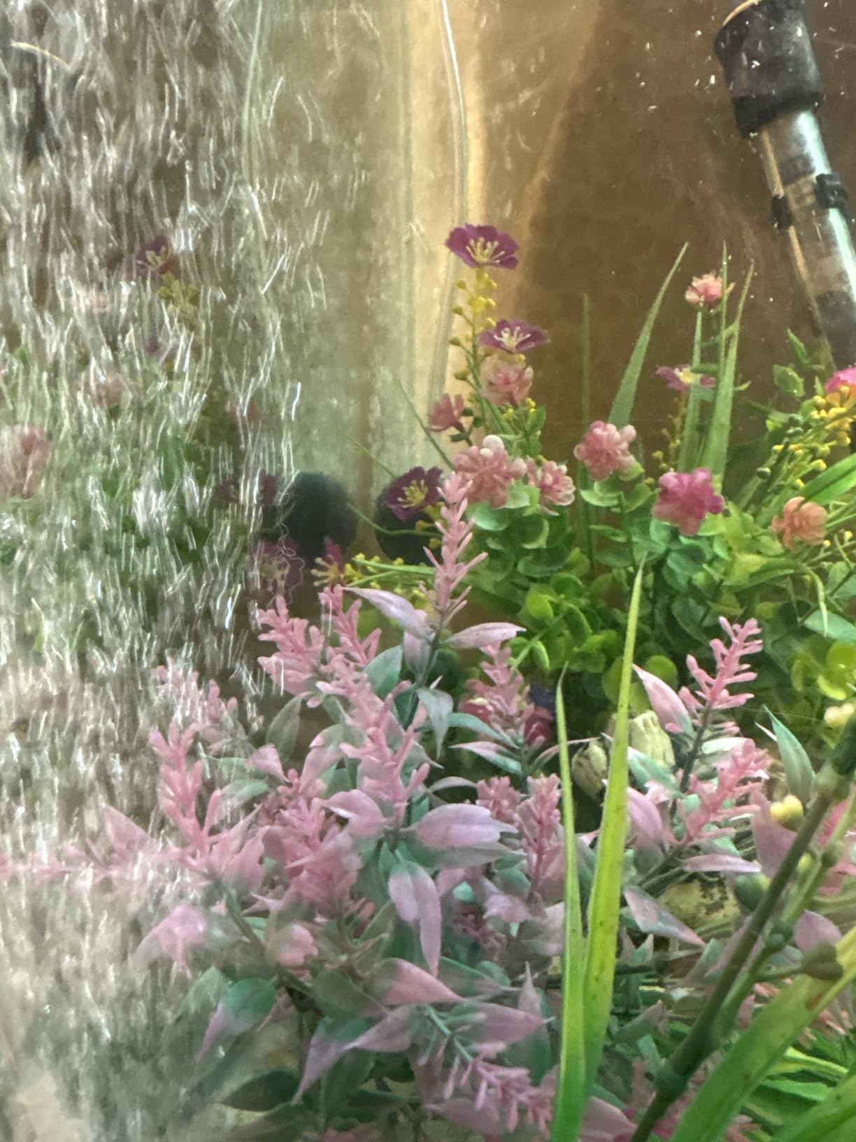 Uniclife Aquarium Air Pump Dual Outlet Fish Tank Aerator with Accessories for 5-200 Gallon Tank customer photo 1