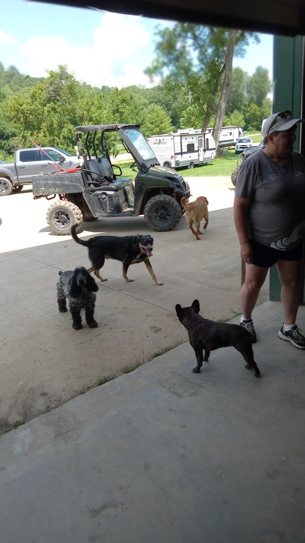 Testors Acrylic Paint Set Primary, Multicolor customer photo 2