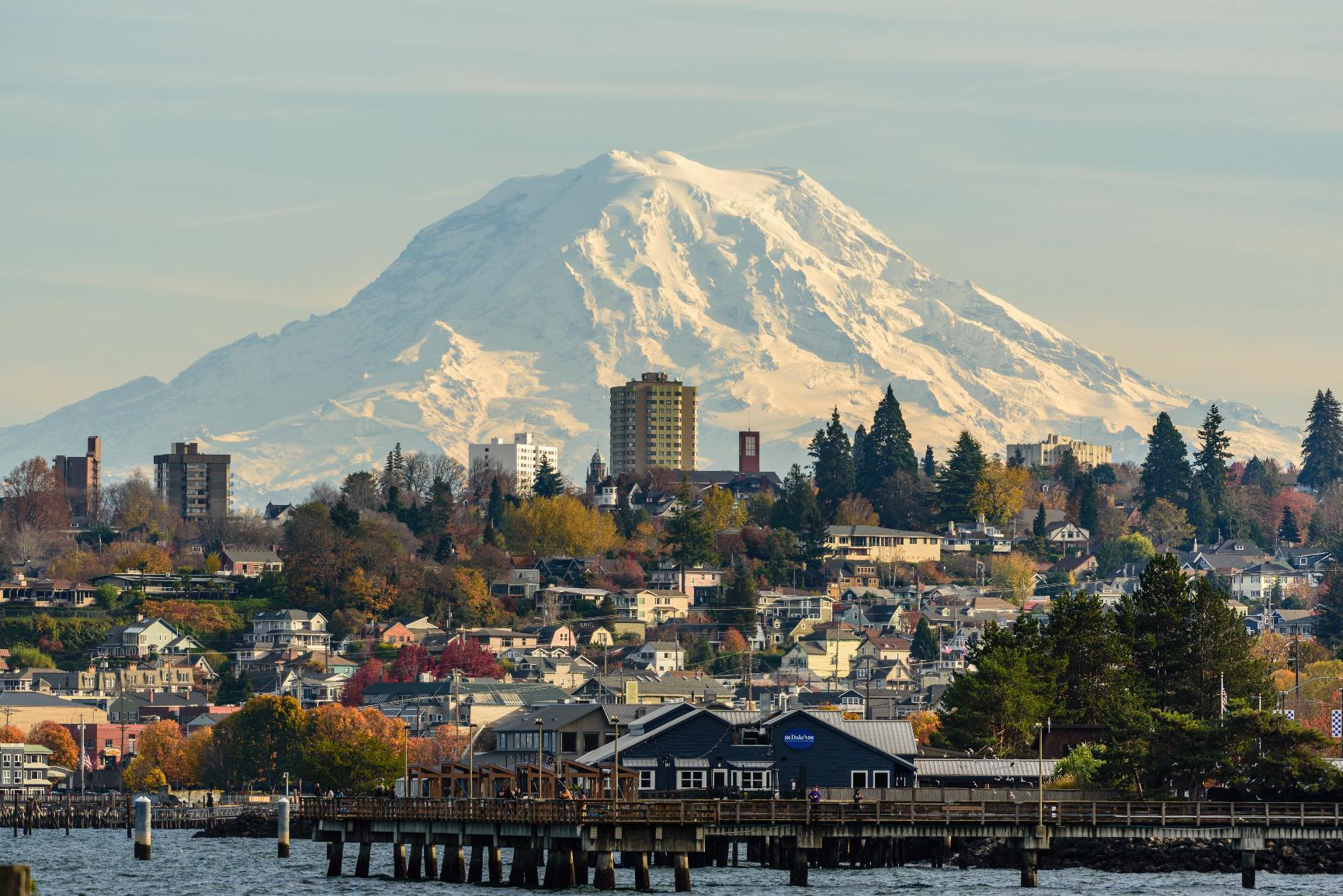 Nikon D750 DSLR Camera (Body Only) (Renewed) customer photo 2