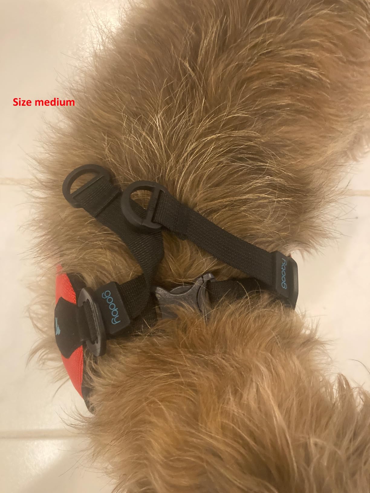 Gooby - Escape Free Easy Fit Harness, Small Dog Step-in Harness for Dogs that Like to Escape Their Harness, Turquoise, Small customer photo 1