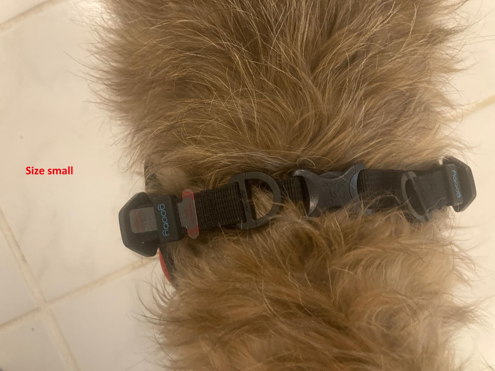 Gooby - Escape Free Easy Fit Harness, Small Dog Step-in Harness for Dogs that Like to Escape Their Harness, Turquoise, Small customer photo 2