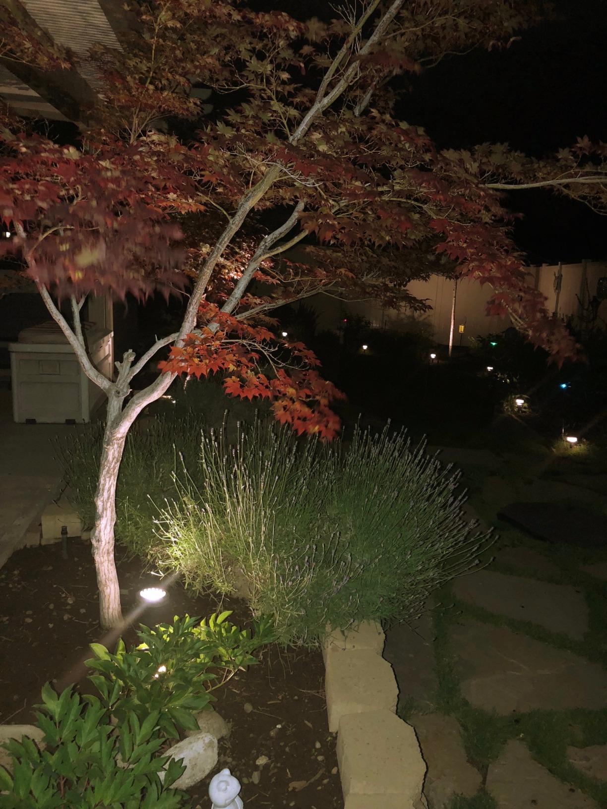 Malibu Low Voltage Well Lights 4W LED Outdoor Landscape Deck Lights 12V Well Light 200Lumen in-Ground Light 2800K Warm White with Connector & Stake for Step Tree Patio Yard Garden 1Pack customer photo 1