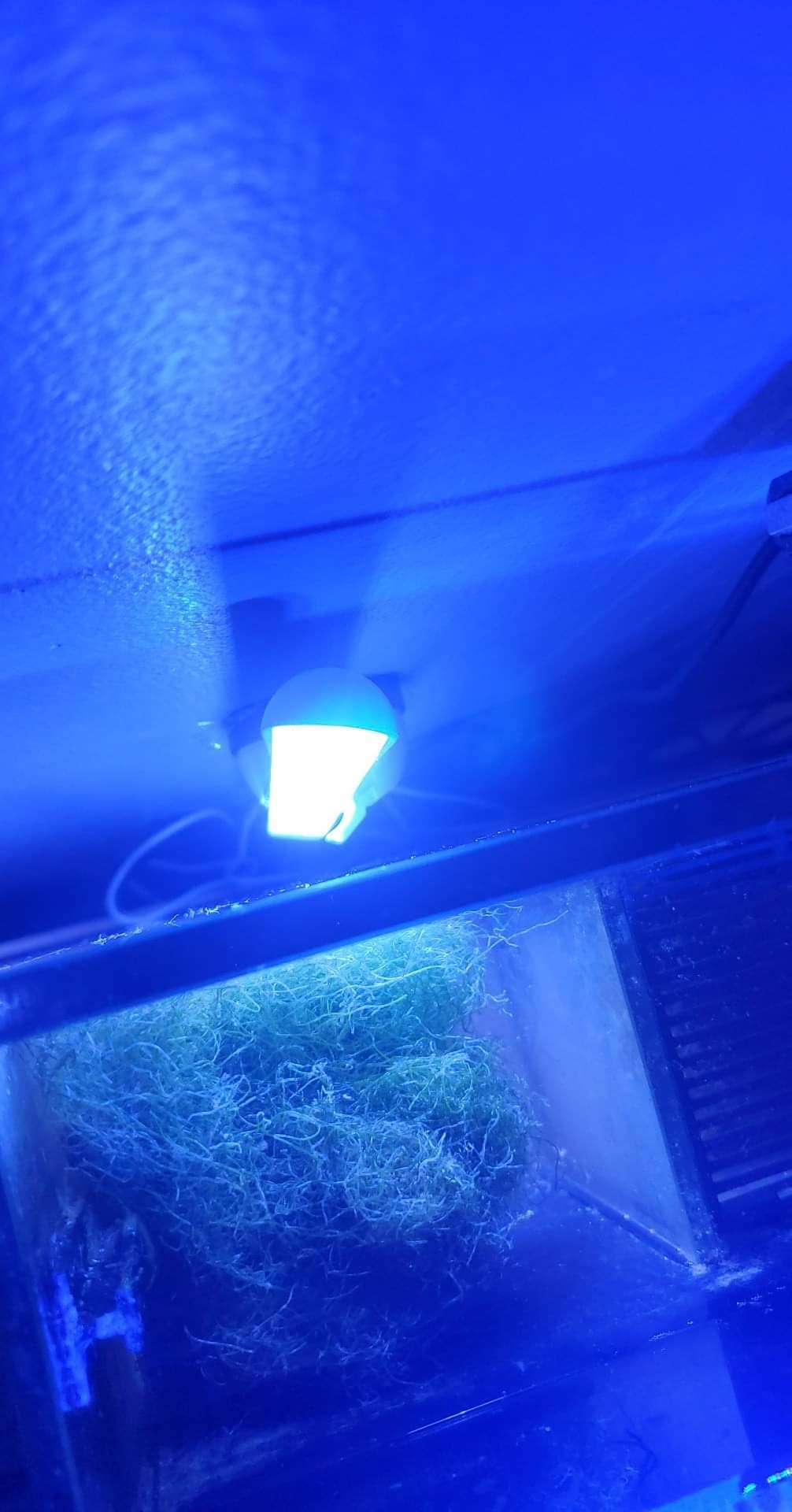 Tunze 8811 Ecochic Marine LED customer photo 1