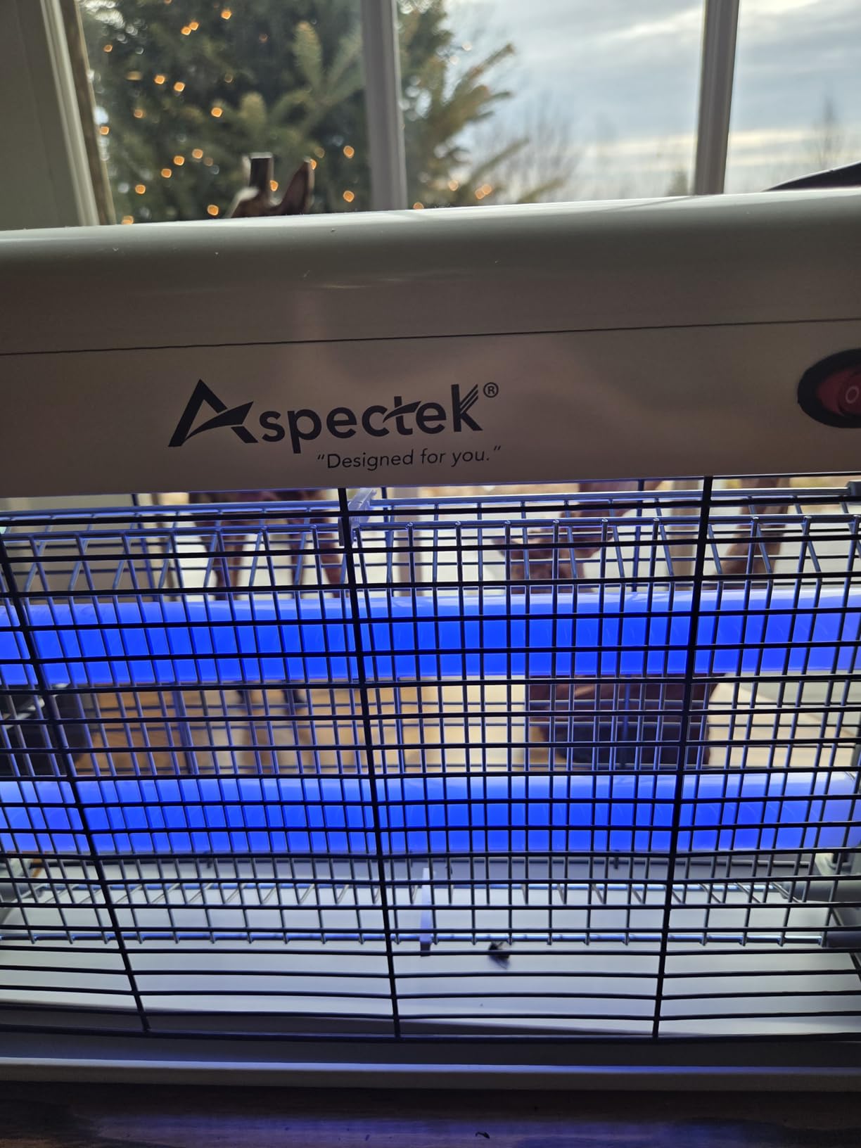 ASPECTEK Insect Killer, Bug Zapper, Powerful 20W Electronic Indoor Fly Zapper for Mosquito, Fungus Gnat, Asian Beetle, Moth, Flying Pests - Indoor Use, Includes 2-Pack Replacement Bulbs customer photo 1