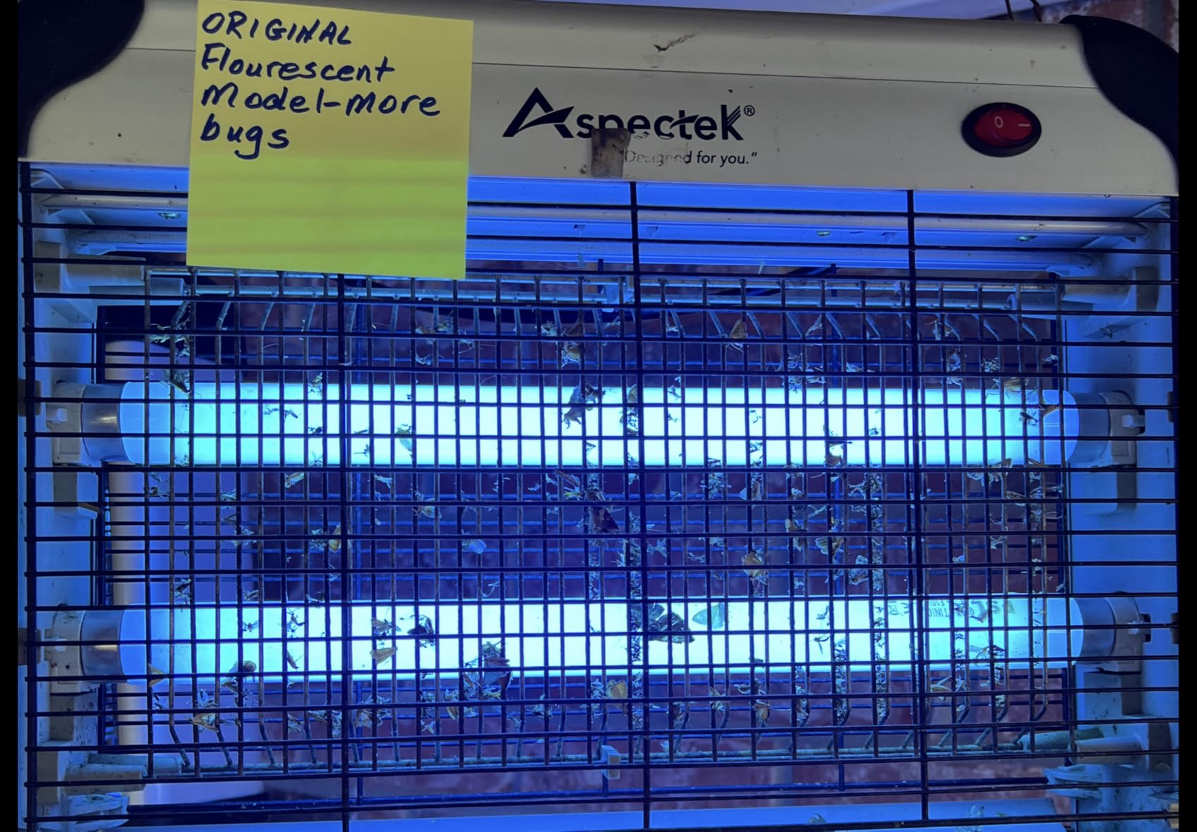 ASPECTEK Insect Killer, Bug Zapper, Powerful 20W Electronic Indoor Fly Zapper for Mosquito, Fungus Gnat, Asian Beetle, Moth, Flying Pests - Indoor Use, Includes 2-Pack Replacement Bulbs customer photo 2