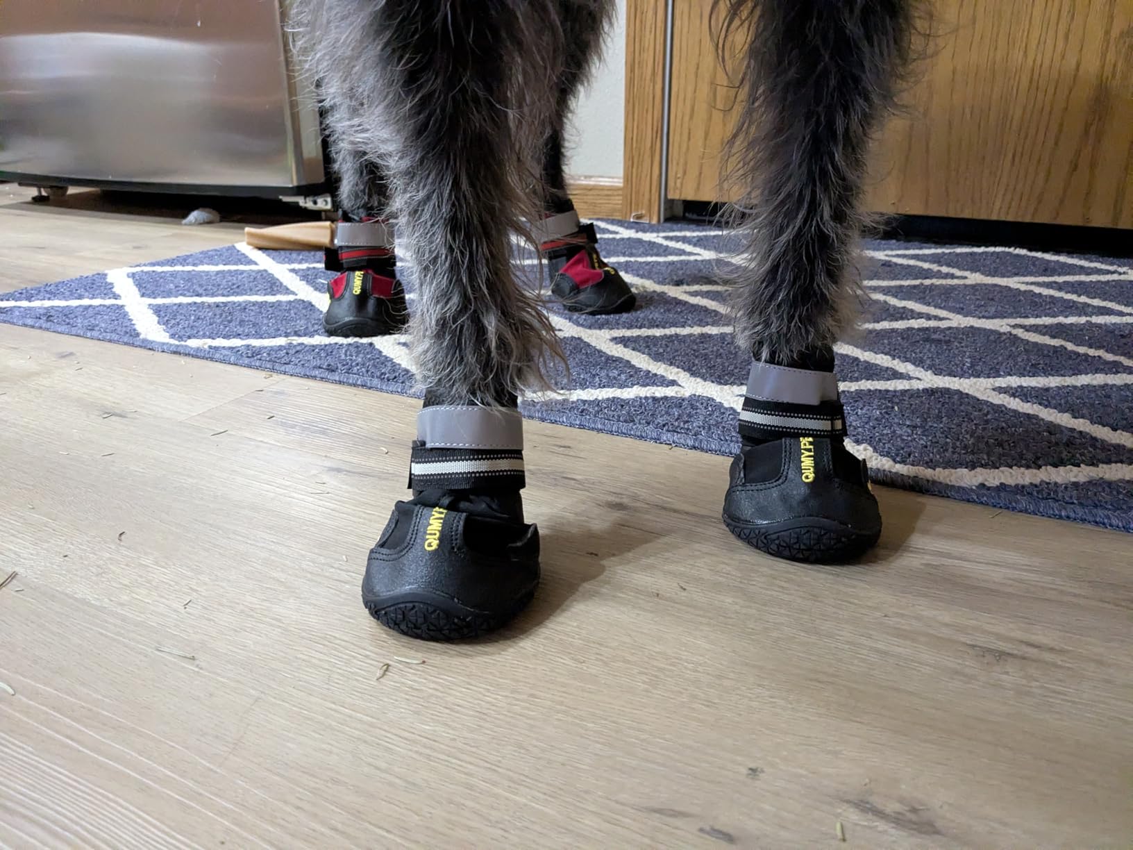 QUMY Dog Shoes for Large Dogs, Medium Dog Boots & Paw Protectors for Winter Snowy Day, Summer Hot Pavement, Water-Resistant in Rainy Weather, Outdoor Walking, Indoor Hardfloors Skid-Resistant Sole customer photo 1