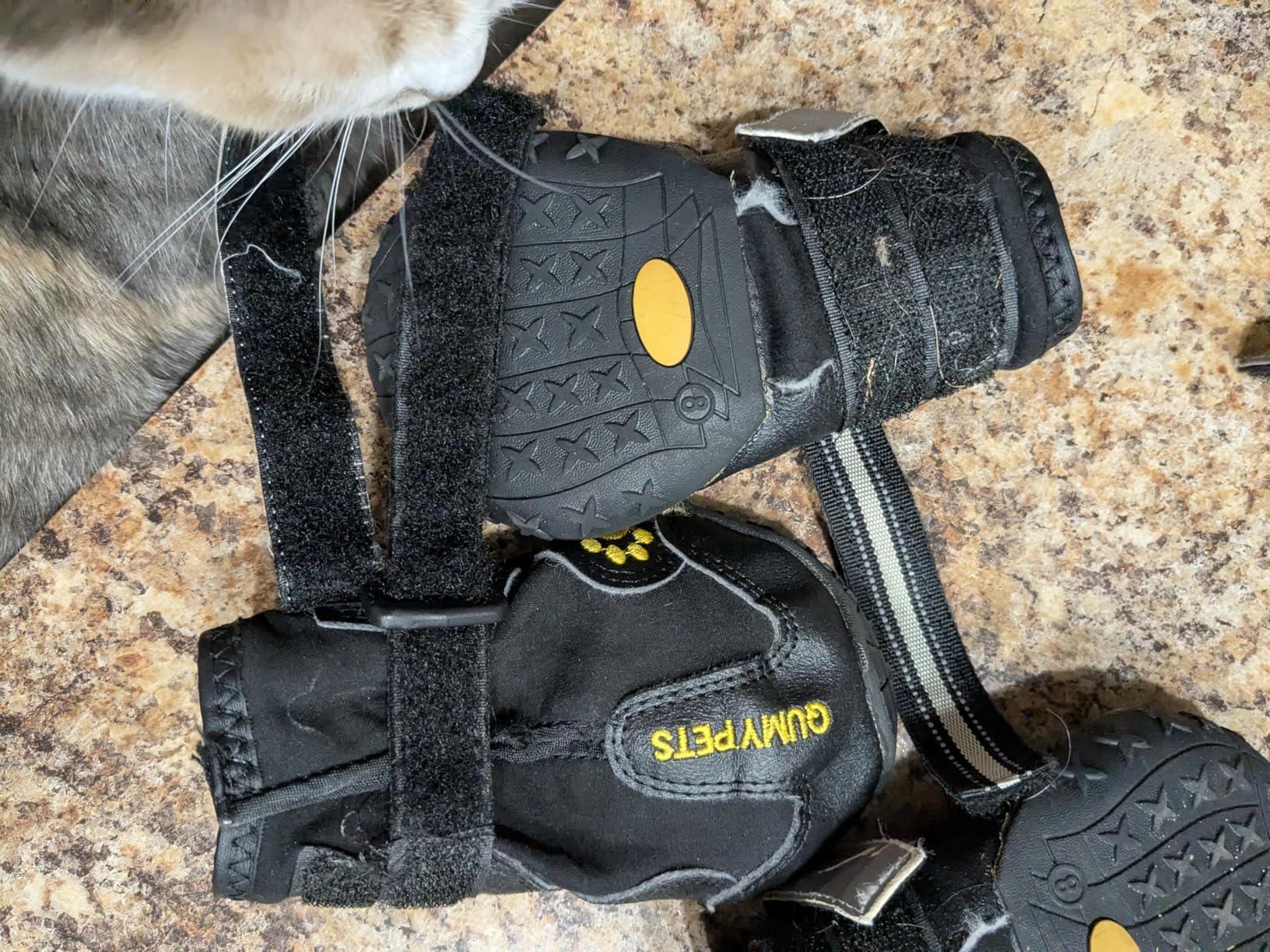 QUMY Dog Shoes for Large Dogs, Medium Dog Boots & Paw Protectors for Winter Snowy Day, Summer Hot Pavement, Water-Resistant in Rainy Weather, Outdoor Walking, Indoor Hardfloors Skid-Resistant Sole customer photo 2