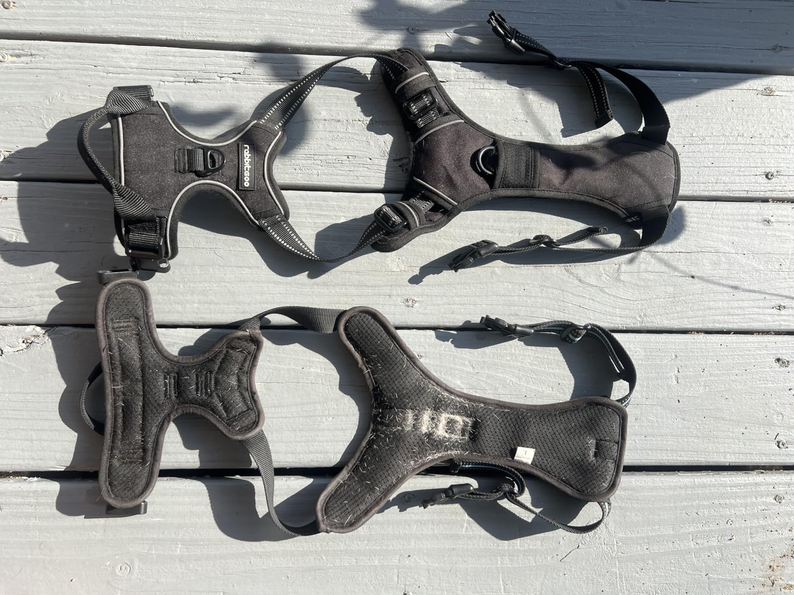 rabbitgoo Dog Harness No Pull with 2 Leash Clips, Adjustable Soft Padded, Reflective Oxford No Choke Pet Vest with Easy Control Handle for Small Dogs, Black, S customer photo 2