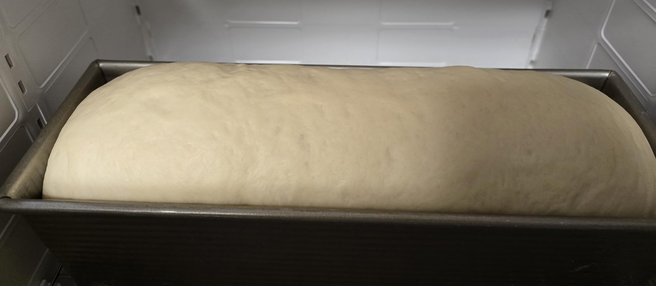 Brod & Taylor Folding Proofer & Slow Cooker customer photo 1