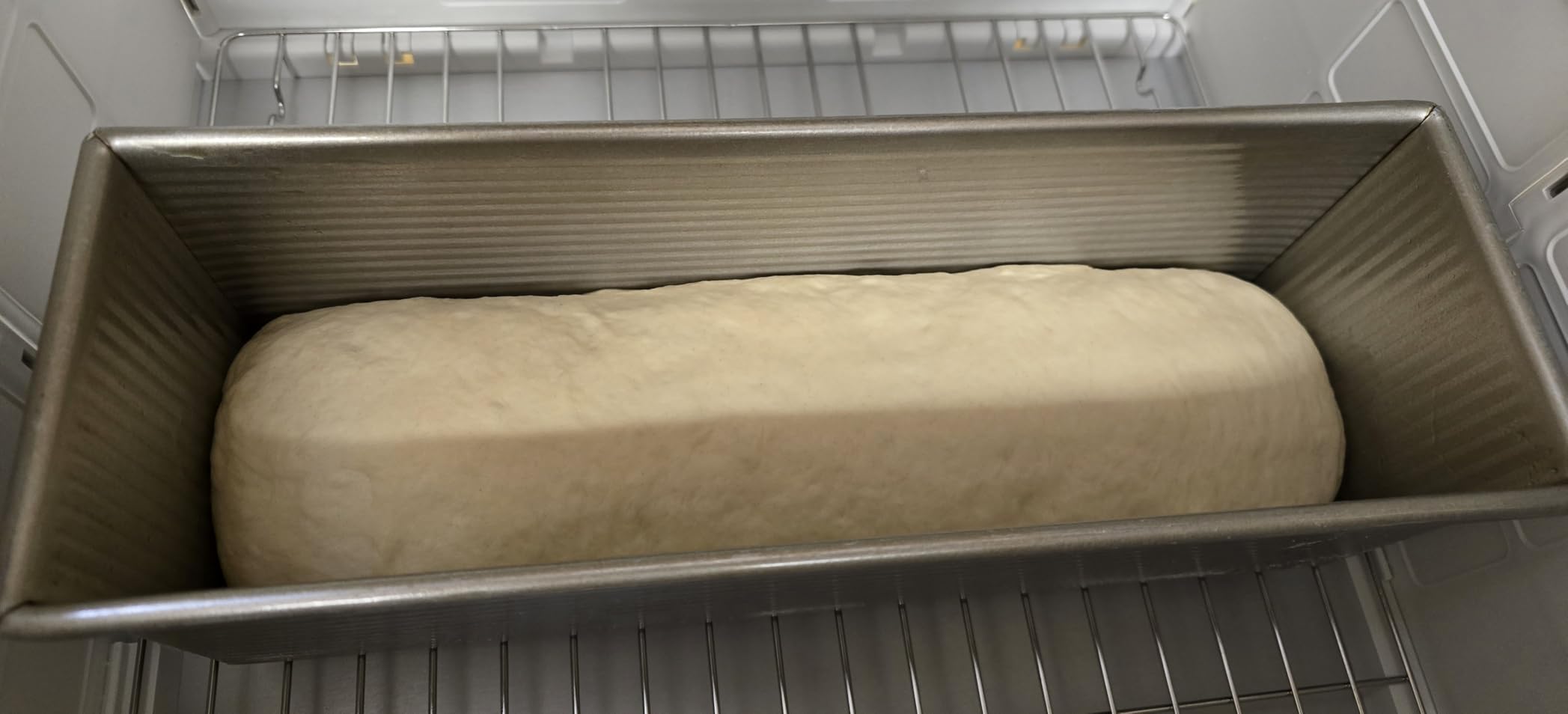 Brod & Taylor Folding Proofer & Slow Cooker customer photo 2