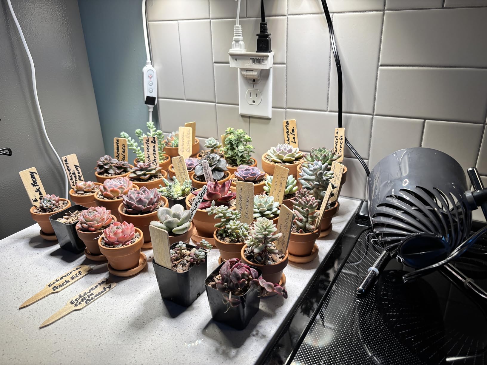 Vornado Pivot Personal Air Circulator Fan, 6-inch, Quiet Portable for Travel, 3 Speed Settings, Targeted Cooling Airflow, 360-Degree Adjustable Axis, Fan for Bedroom, Office, And Desktop, Copper customer photo 2