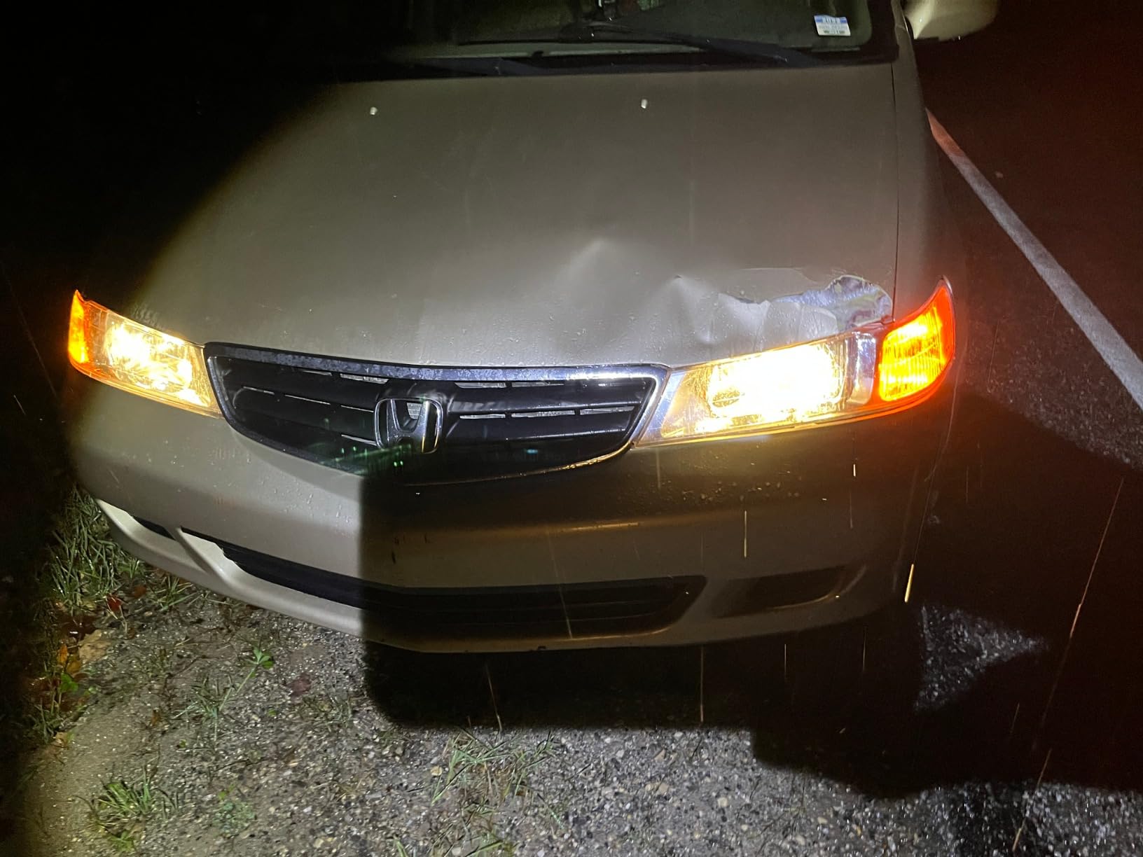 Rhino USA Ratchet Straps Tie Downs (4-Pack) - 1 Inch x 15 Feet (1,823lb Break Strength) - Ultimate Tie Down Straps with Safety S Hooks - for Trucks, Cargo, Moving, Appliances - Black customer photo 2