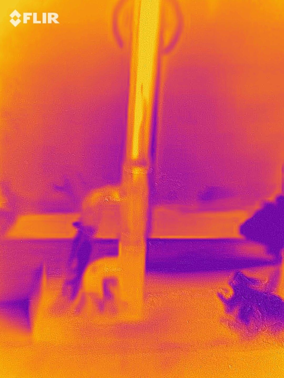 Flir One Pro - Thermal Imaging Camera for Android Smartphones (USB-C), 480x360 Super Resolution (160x120 Native IR) customer photo 2