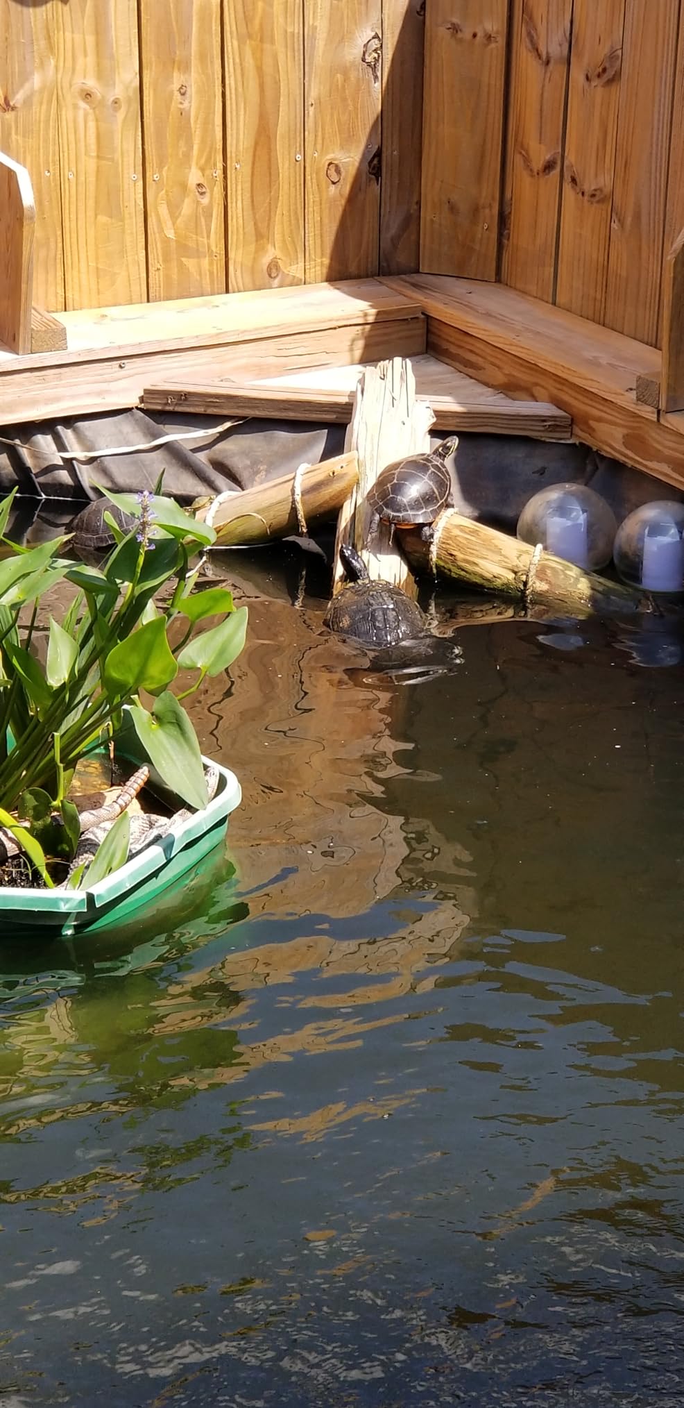 Classic Koi Pond Filter Pad FINE - White Bulk Roll Pond Filter Media, Ultra-Durable Pond Filters for Outdoor Ponds, Reusable Fish Pond Filter Material, USA customer photo 1