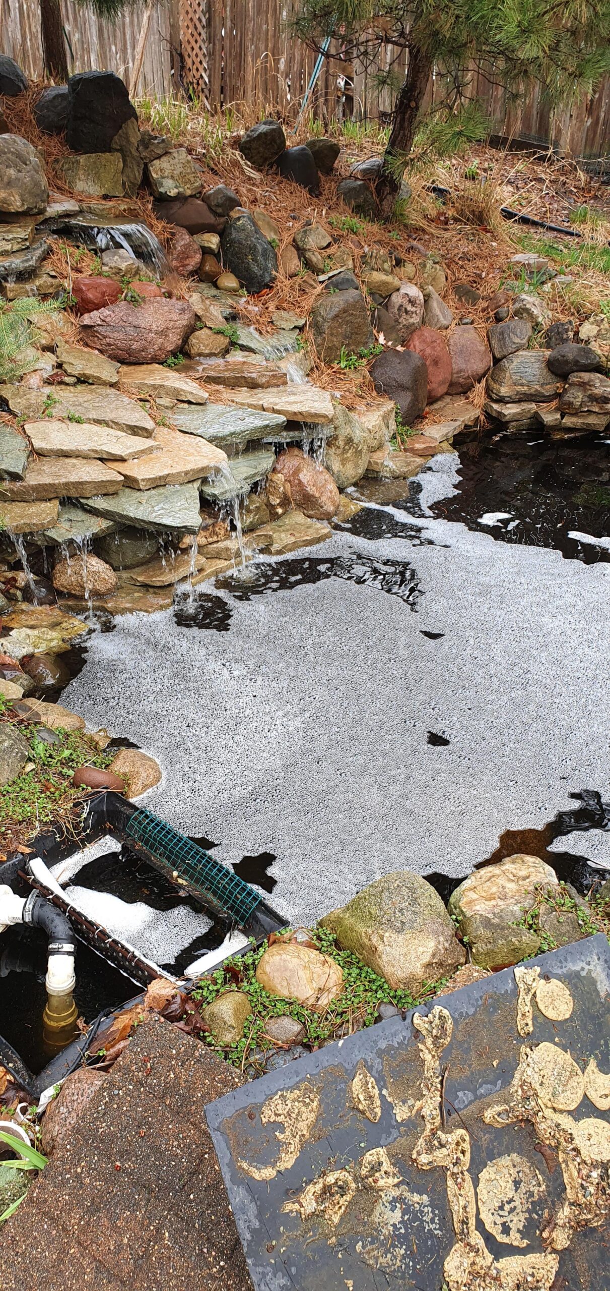 Classic Koi Pond Filter Pad FINE - White Bulk Roll Pond Filter Media, Ultra-Durable Pond Filters for Outdoor Ponds, Reusable Fish Pond Filter Material, USA customer photo 2