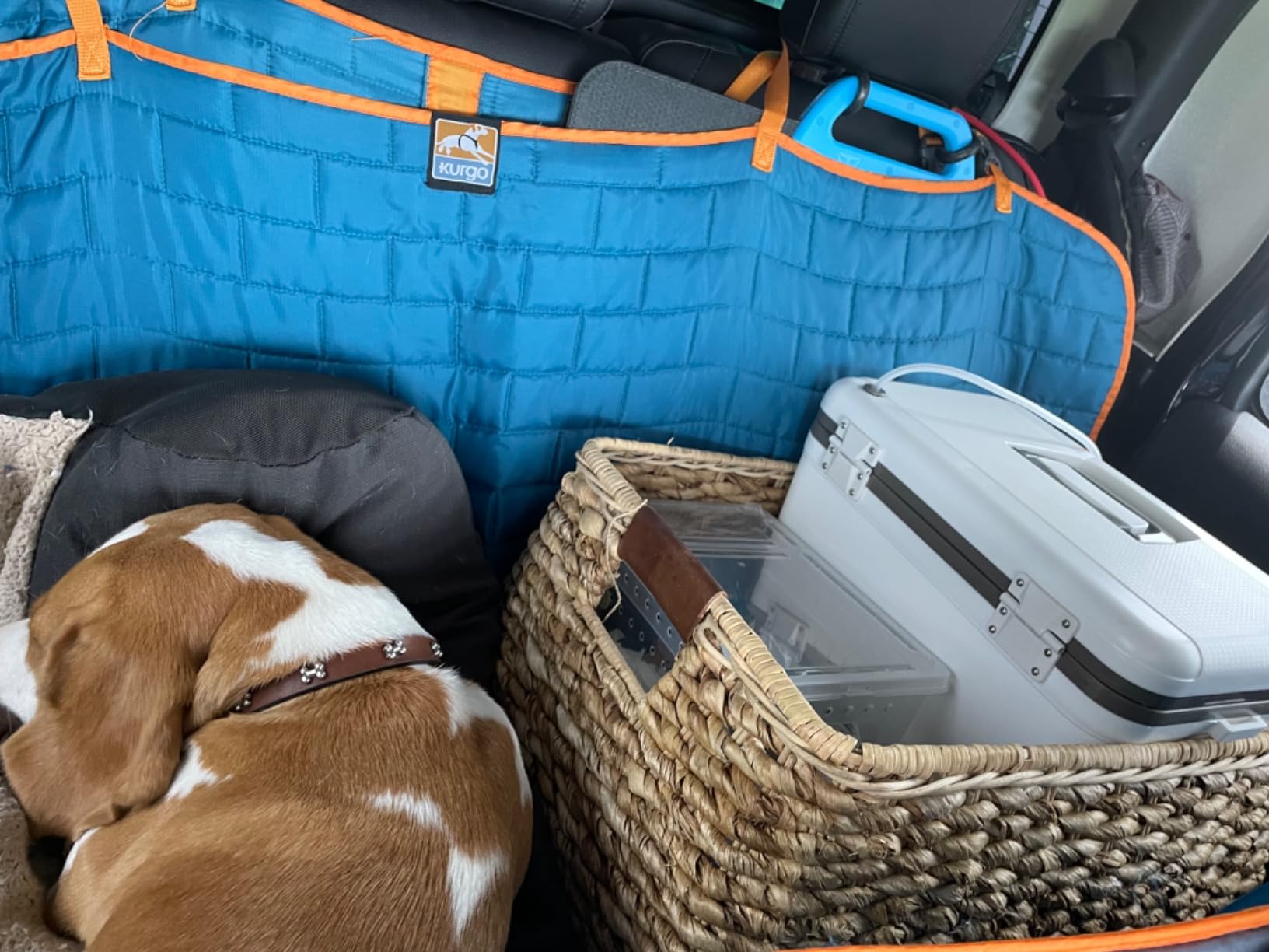 Engel Live Bait Cooler Box with 2nd Gen 2-Speed Aerator Pump - Portable Fishing Station & Minnow Bucket for Shrimp & Other Live Fish with Aerator customer photo 1