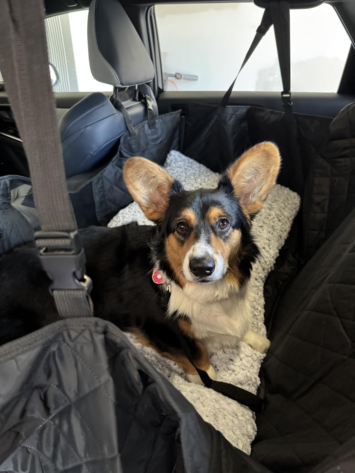 URPOWER Dog Car Seat Cover for Pets 100% Waterproof Seat Cover Hammock 600D Heavy Duty Scratch Proof Nonslip Durable Soft Back Seat Covers for Cars Trucks and SUVs customer photo 1