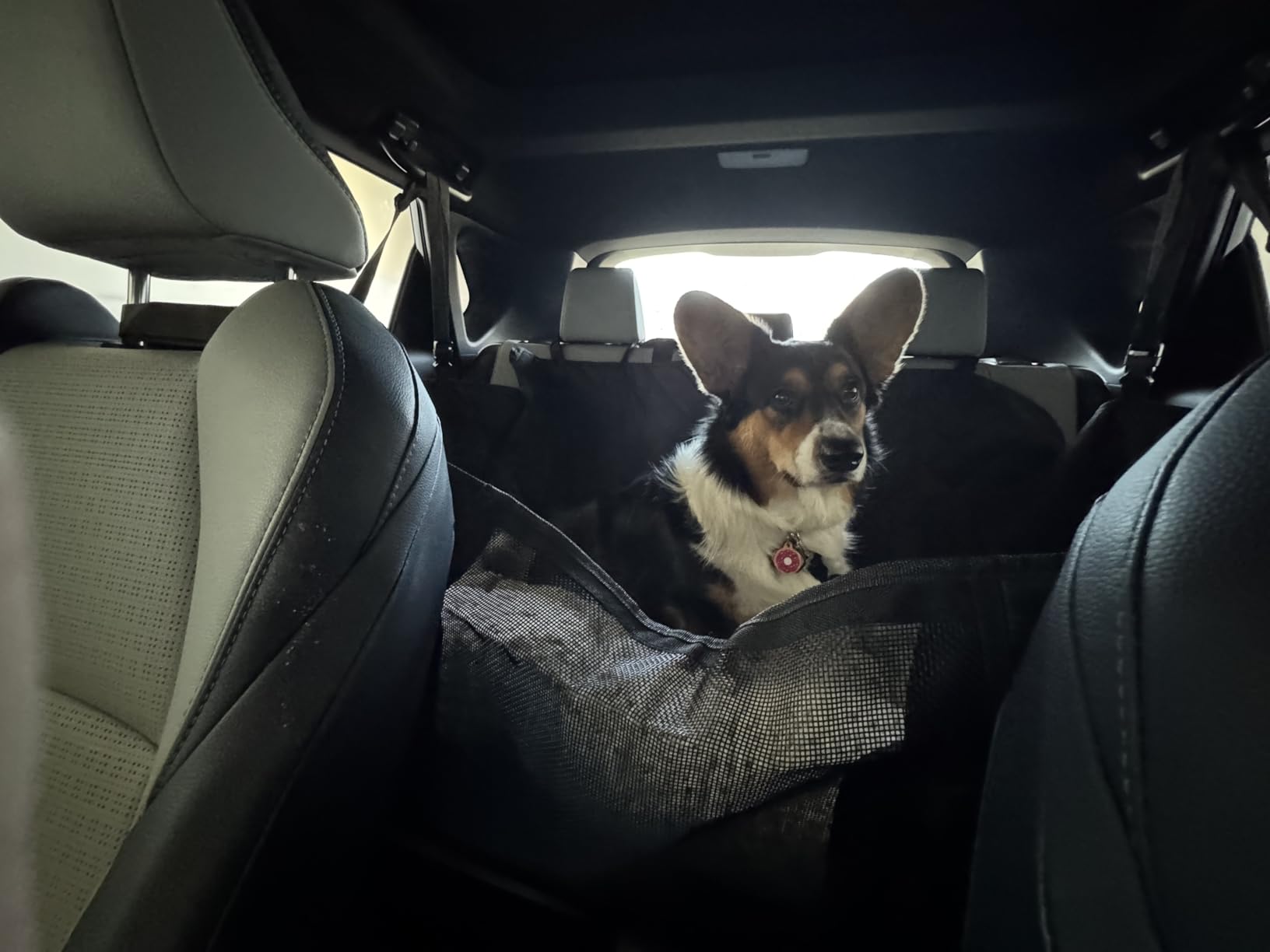 URPOWER Dog Car Seat Cover for Pets 100% Waterproof Seat Cover Hammock 600D Heavy Duty Scratch Proof Nonslip Durable Soft Back Seat Covers for Cars Trucks and SUVs customer photo 2