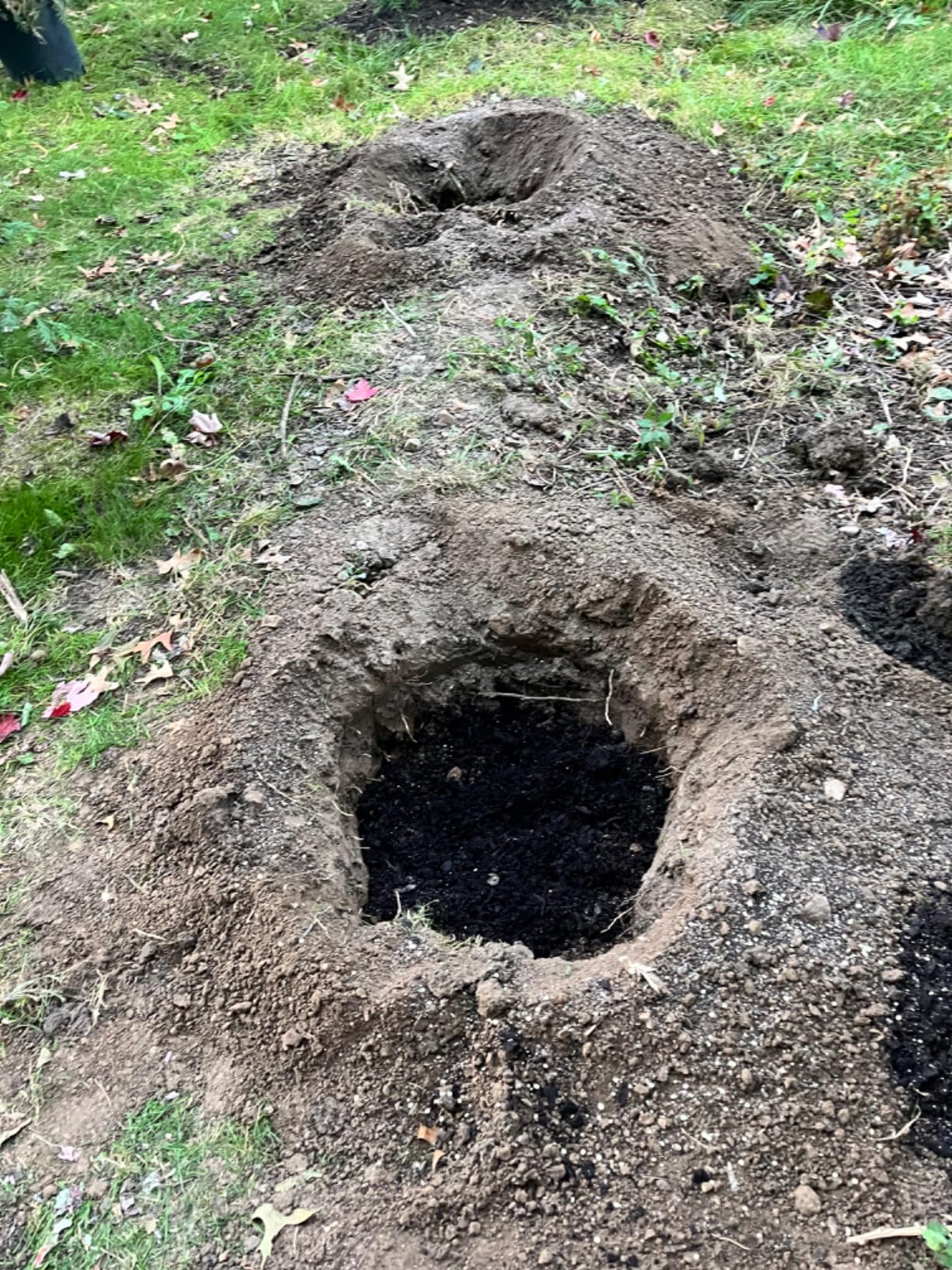 PROYAMA 54cc Post Hole Digger Gas Powered 2 Cycle Earth Auger, 5-Year Warranty Gear Box, 4 Drill Bits 4