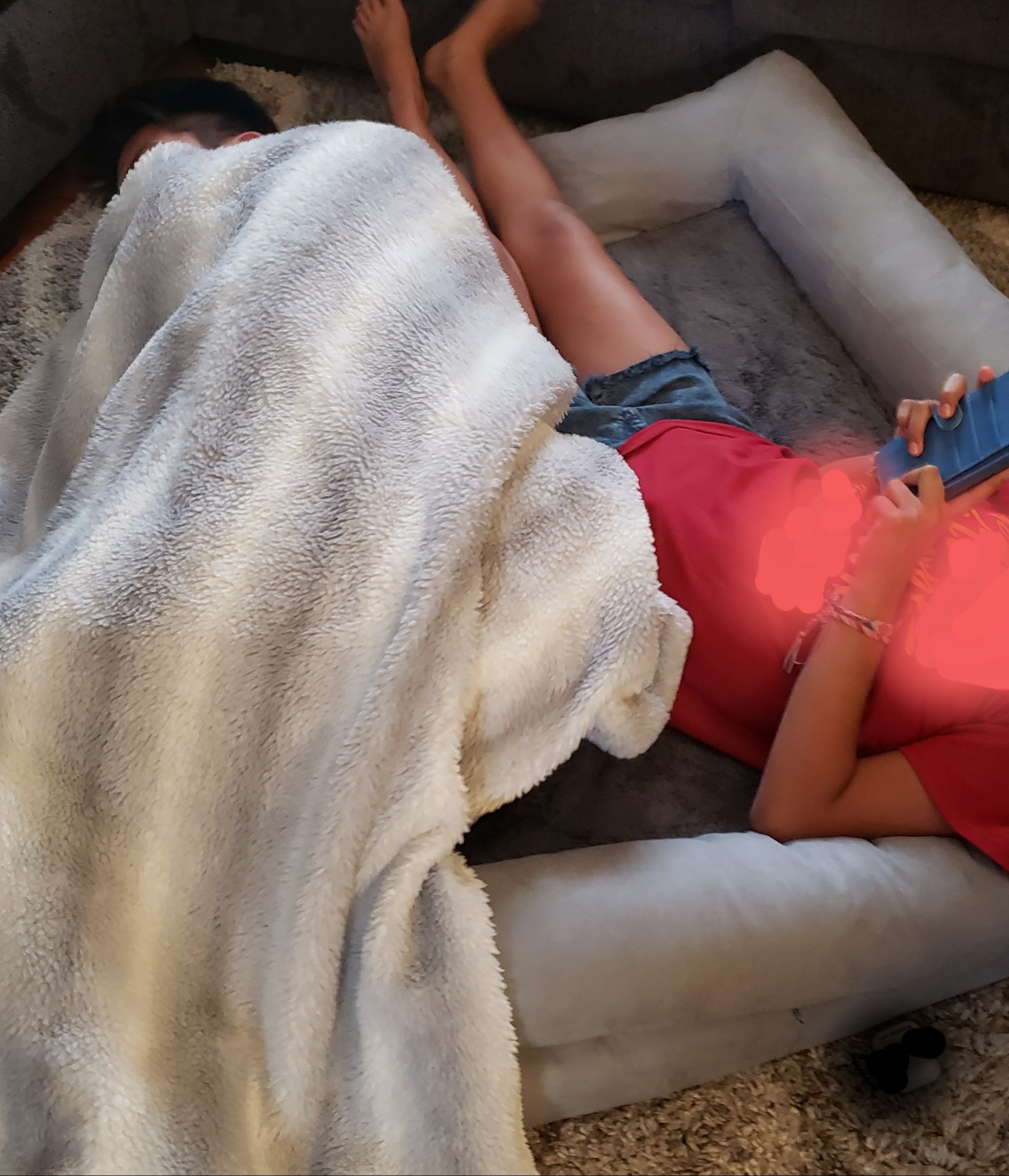 FurHaven Orthopedic Dog Bed for Medium Dogs, Luxe Lounger Contour Mattress with Solid Orthopedic Foam Slab for Joint Support, Removable Washable Cover, Medium, Faux Fur & Suede, Gray customer photo 1