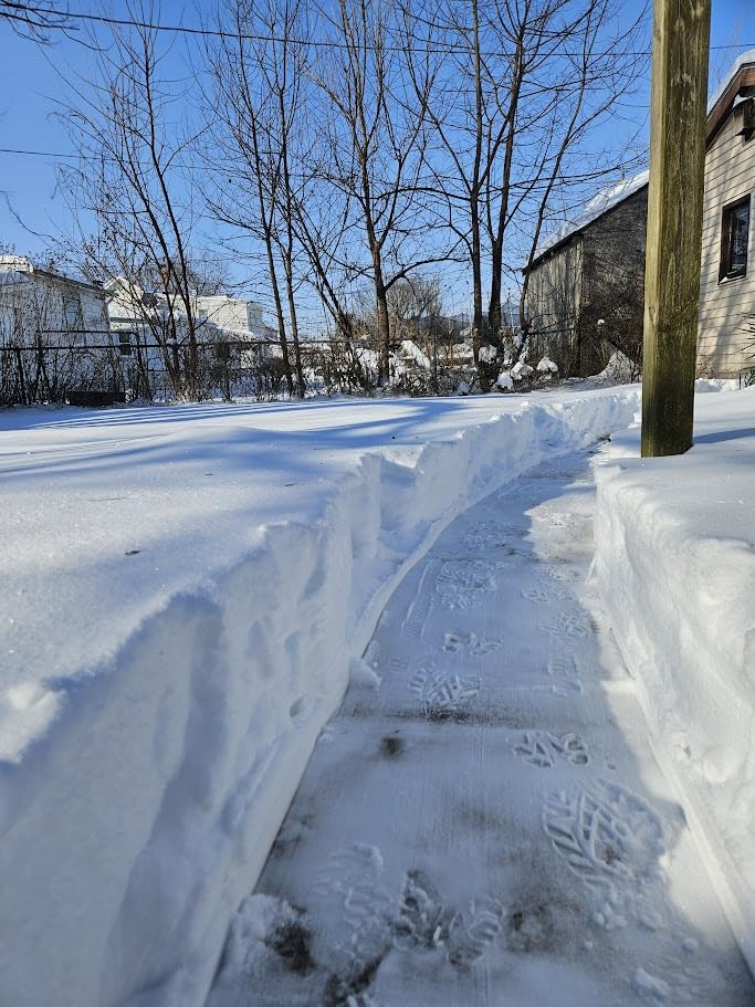 Snow Joe SN74016 40-Volt Cordless Electric Snow Shovel, Brushless Motor, 16-Inch width, 300lbs/Minute (Battery and Charger Included) customer photo 1
