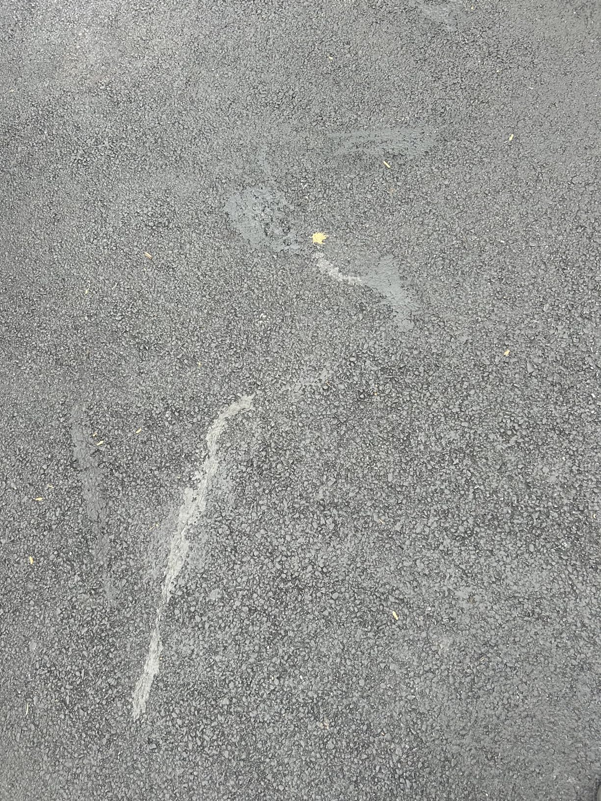 Bluestar Flexible Asphalt Crack Filler - DIY No Special Tools Needed, Fill Cracks in Asphalt Driveways, 16 fl. oz. customer photo 1