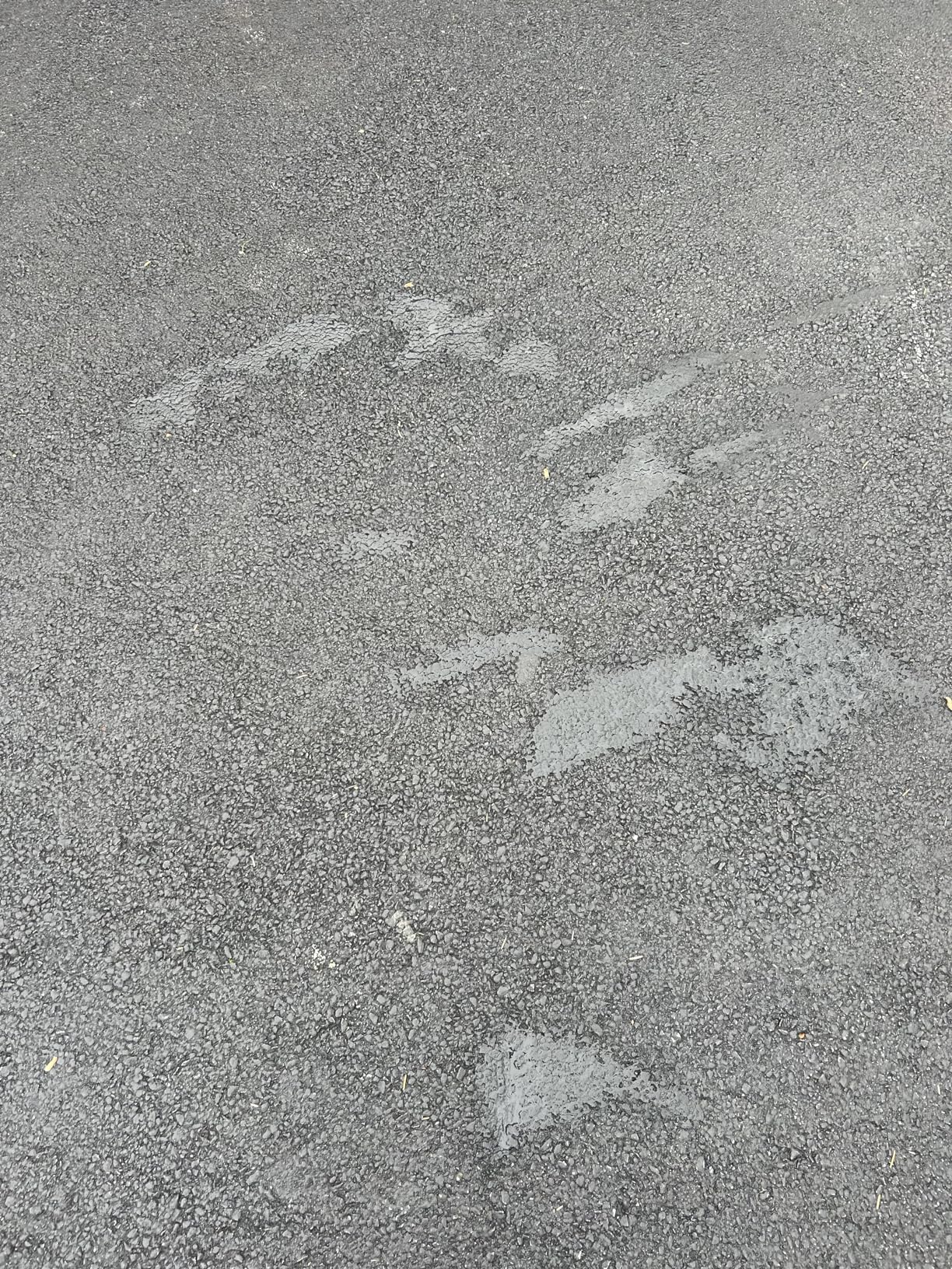 Bluestar Flexible Asphalt Crack Filler - DIY No Special Tools Needed, Fill Cracks in Asphalt Driveways, 16 fl. oz. customer photo 2