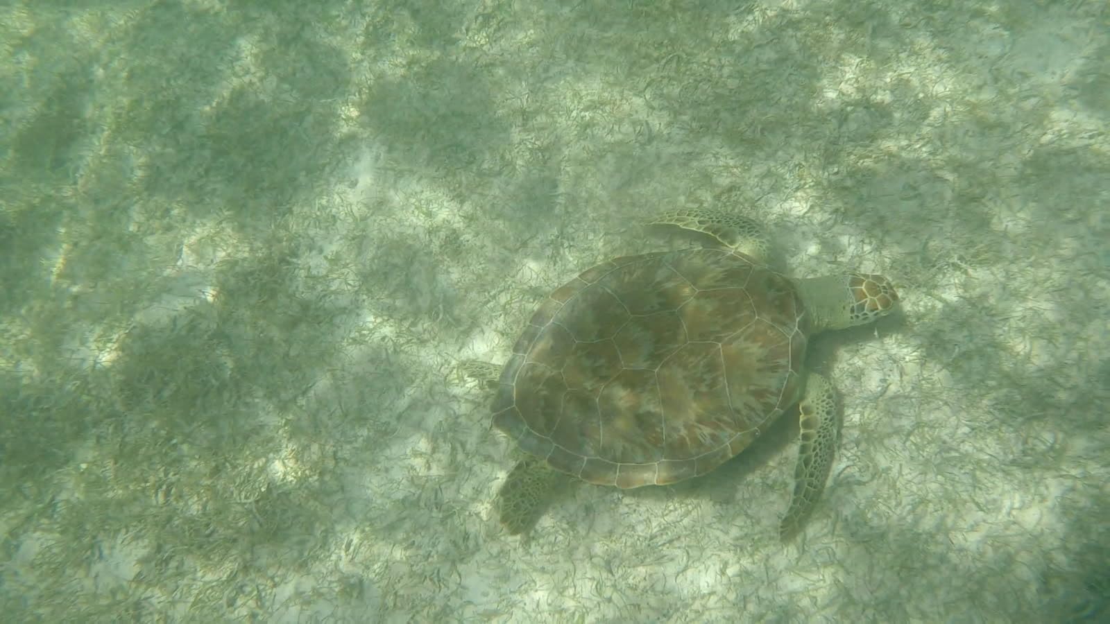 FitStill 148FT/45M Waterproof Housing for Go Pro Hero 2018/7/6/5 Black, Protective Underwater Dive Case Shell with Bracket for Go Pro Hero7 Hero6 Hero5 Black Action Camera Accessories customer photo 1