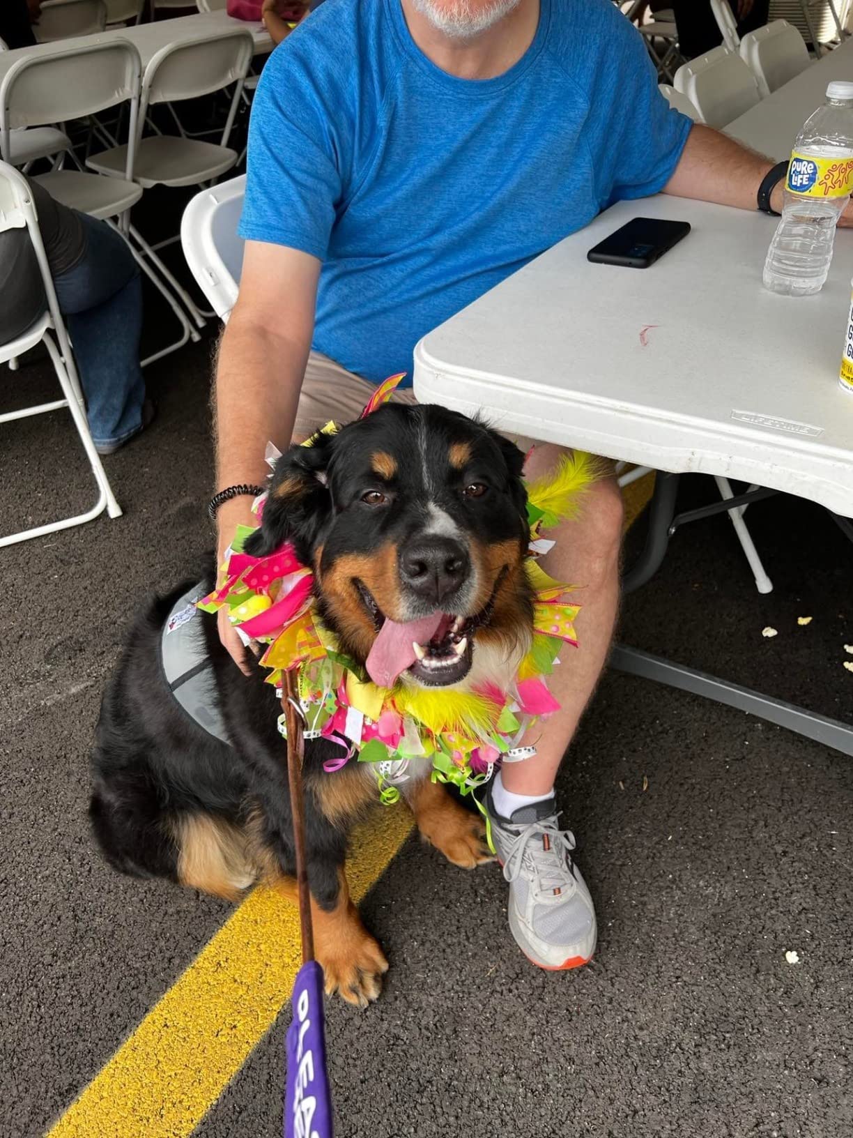 CoolerDog Dog Cooling Vest & Cooling Collar - Ice Vest for Hot Weather Heat Relief, Re-Freezable Pure Water Inserts (Medium 22