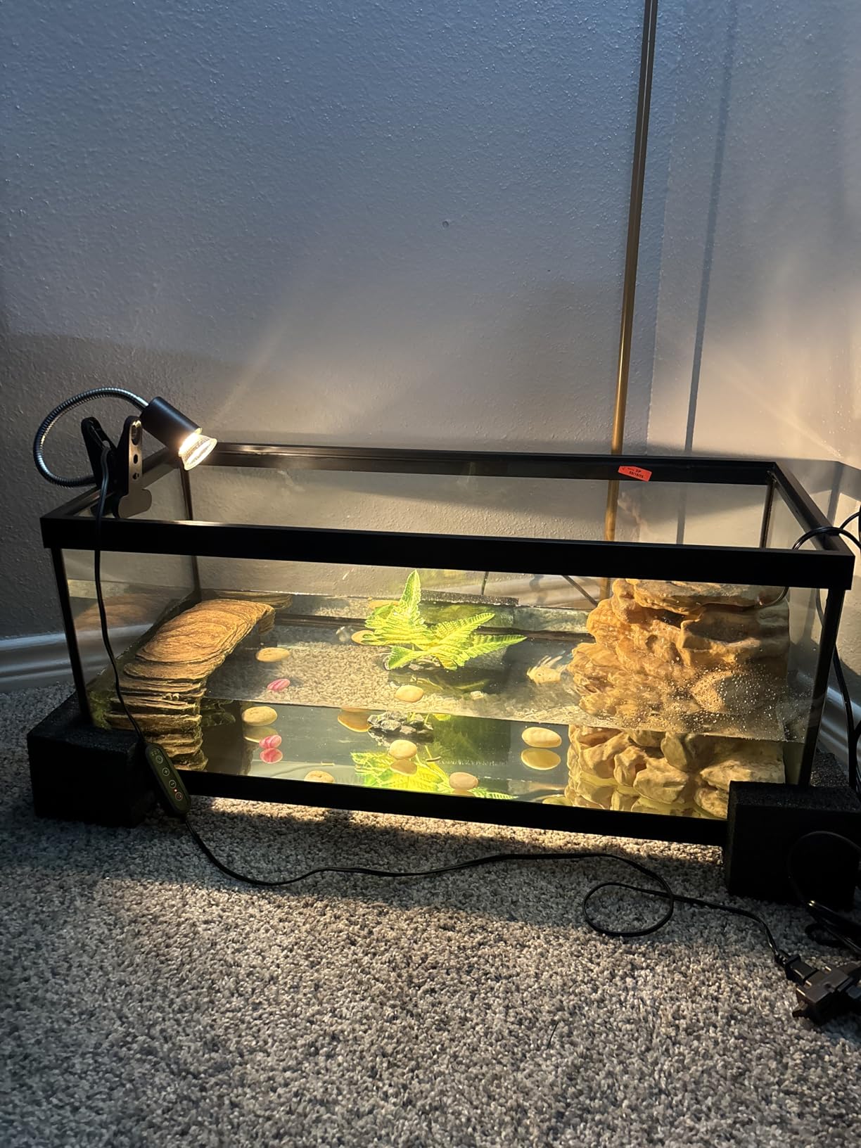 Tetra Aquatic Turtle Deluxe Kit 20 Gallons, aquarium With Filter And Heating Lamps, 30 IN (NV33230) customer photo 1