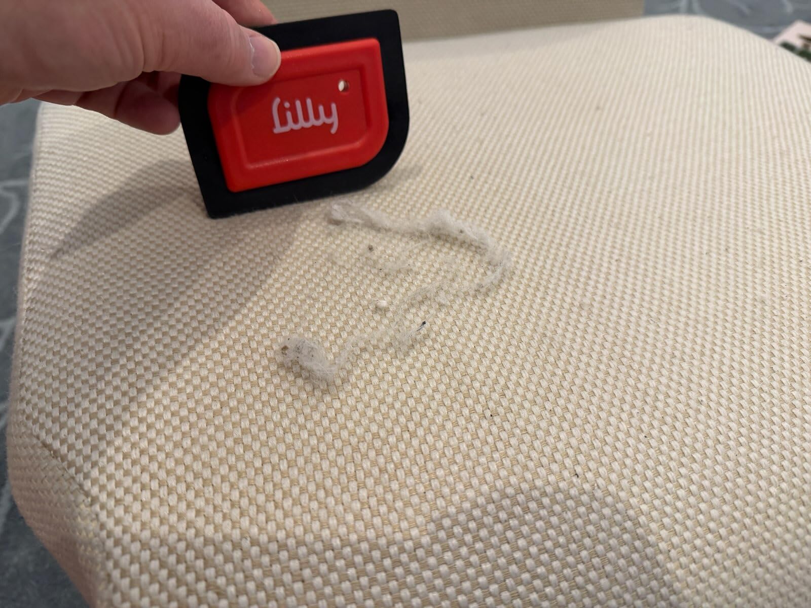 Lilly Brush Mini Pet Hair Detailer | Reusable Fur Remover for Car Interior, Carpet, Couch & Furniture customer photo 1