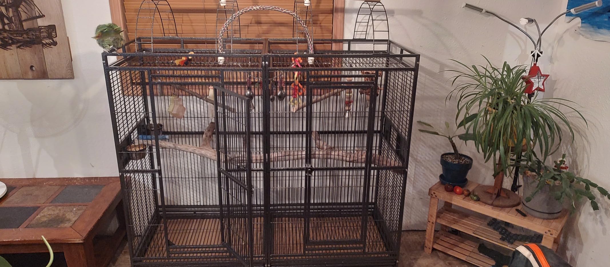 Extra Large Double Ladders Open Play Top Wrought Iron Bird Parrot Parttot Finch Macaw Cockatoo Cage, Include Seed Guard and Toy Hook (32