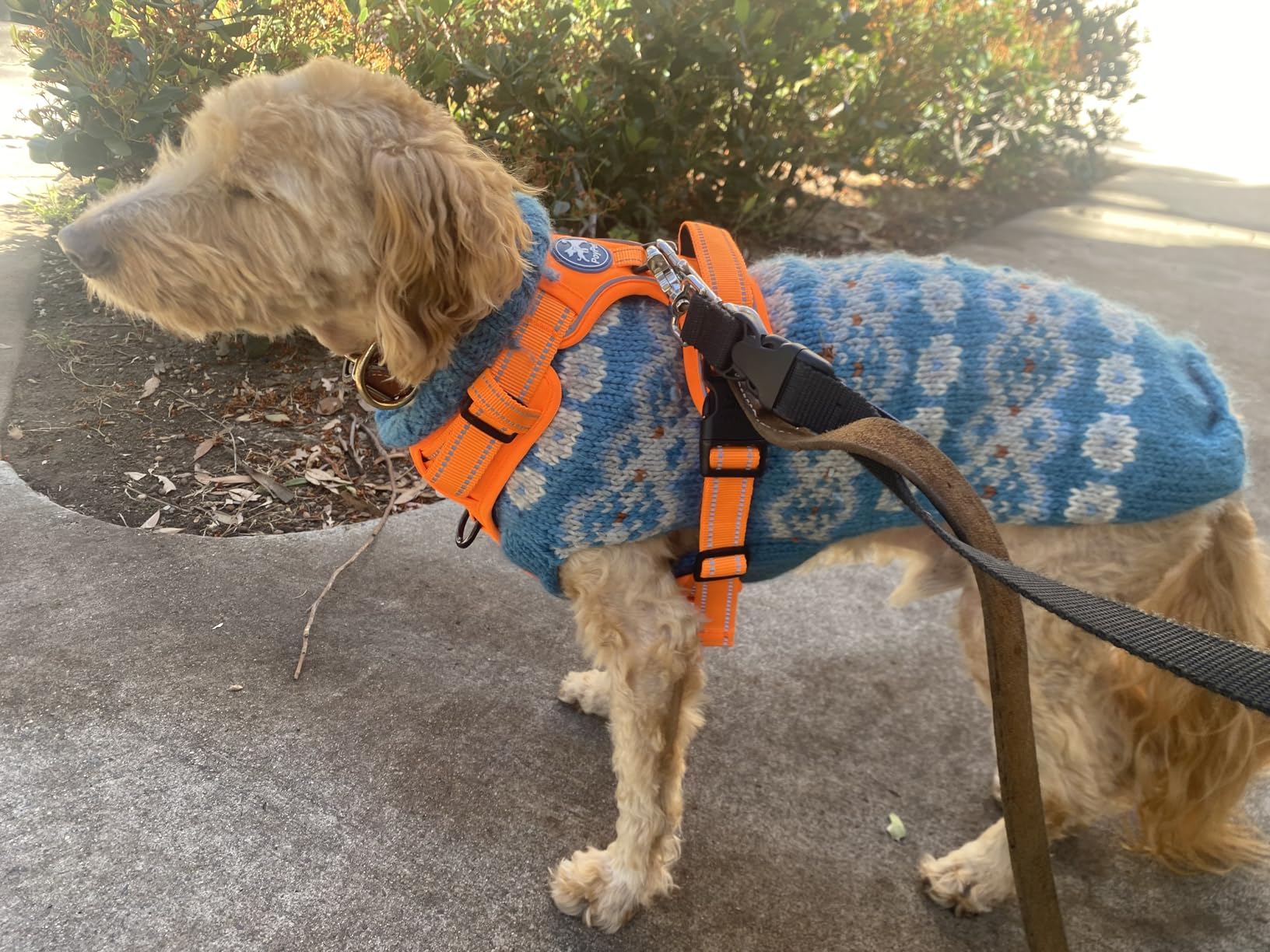 PoyPet No Pull Dog Harness, No Choke Front Lead Dog Reflective Harness, Adjustable Soft Padded Pet Vest with Easy Control Handle for Small to Large Dogs(Pink, Medium) customer photo 1