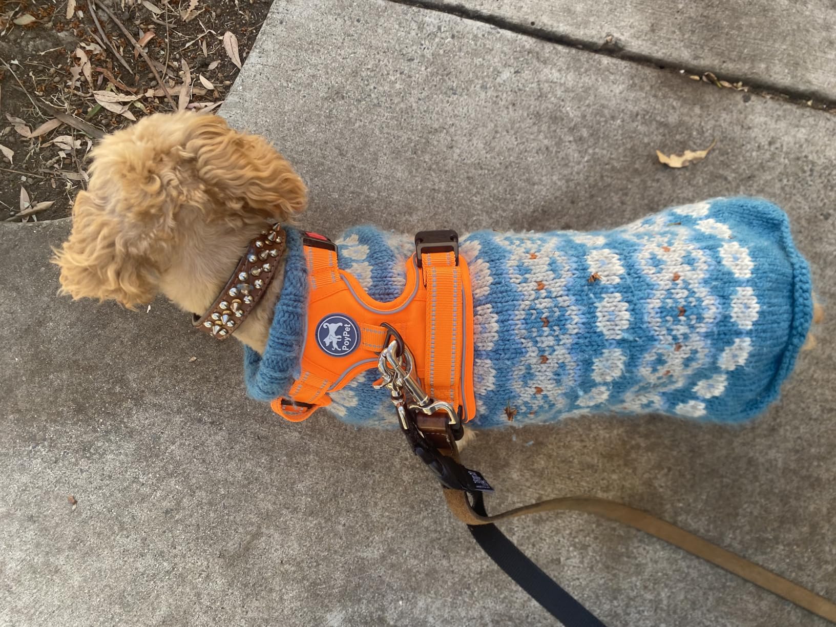 PoyPet No Pull Dog Harness, No Choke Front Lead Dog Reflective Harness, Adjustable Soft Padded Pet Vest with Easy Control Handle for Small to Large Dogs(Pink, Medium) customer photo 2