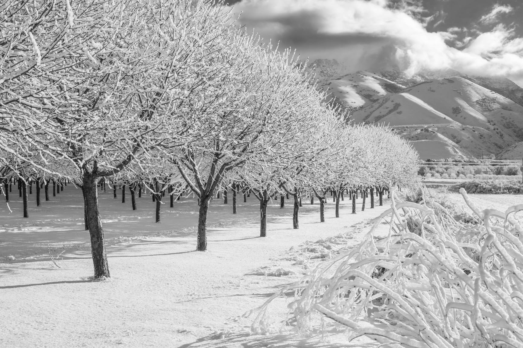 Canon EOS 6D Mark II Digital SLR Camera Body (Renewed) customer photo 1