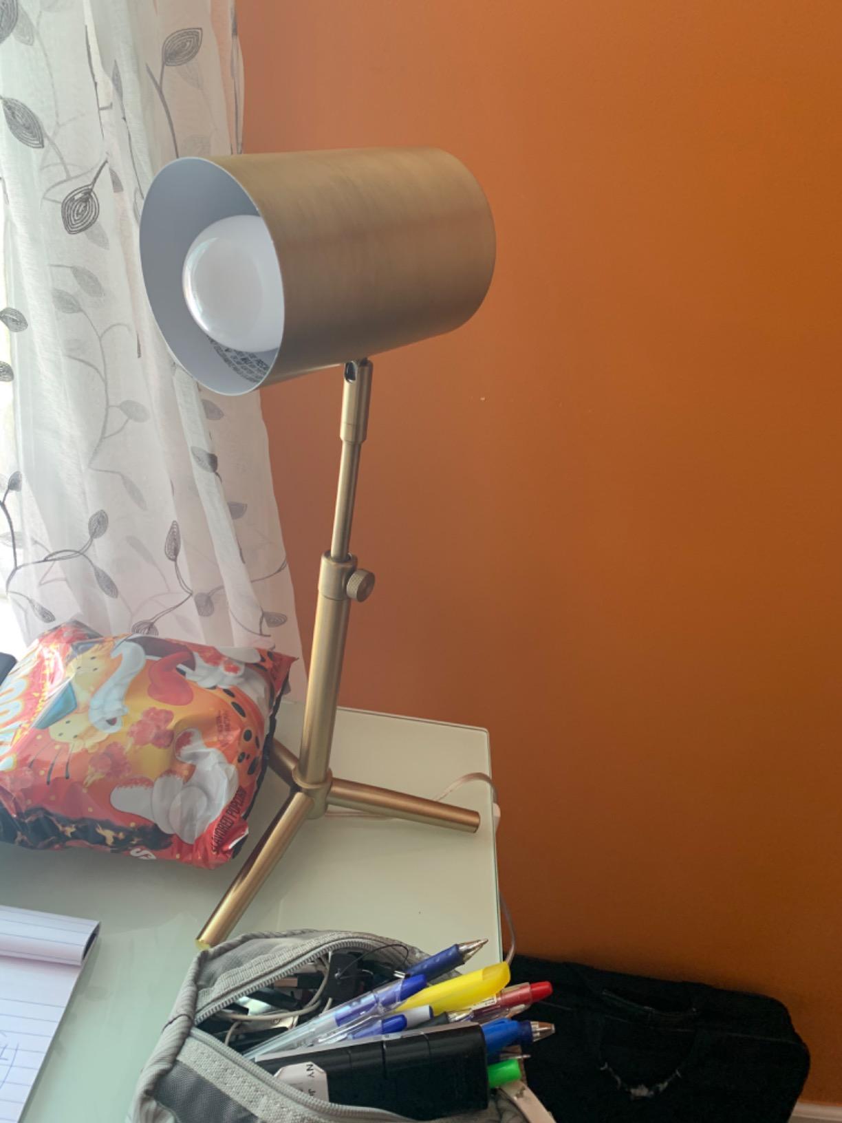 Globe Electric 52097 Pratt 18