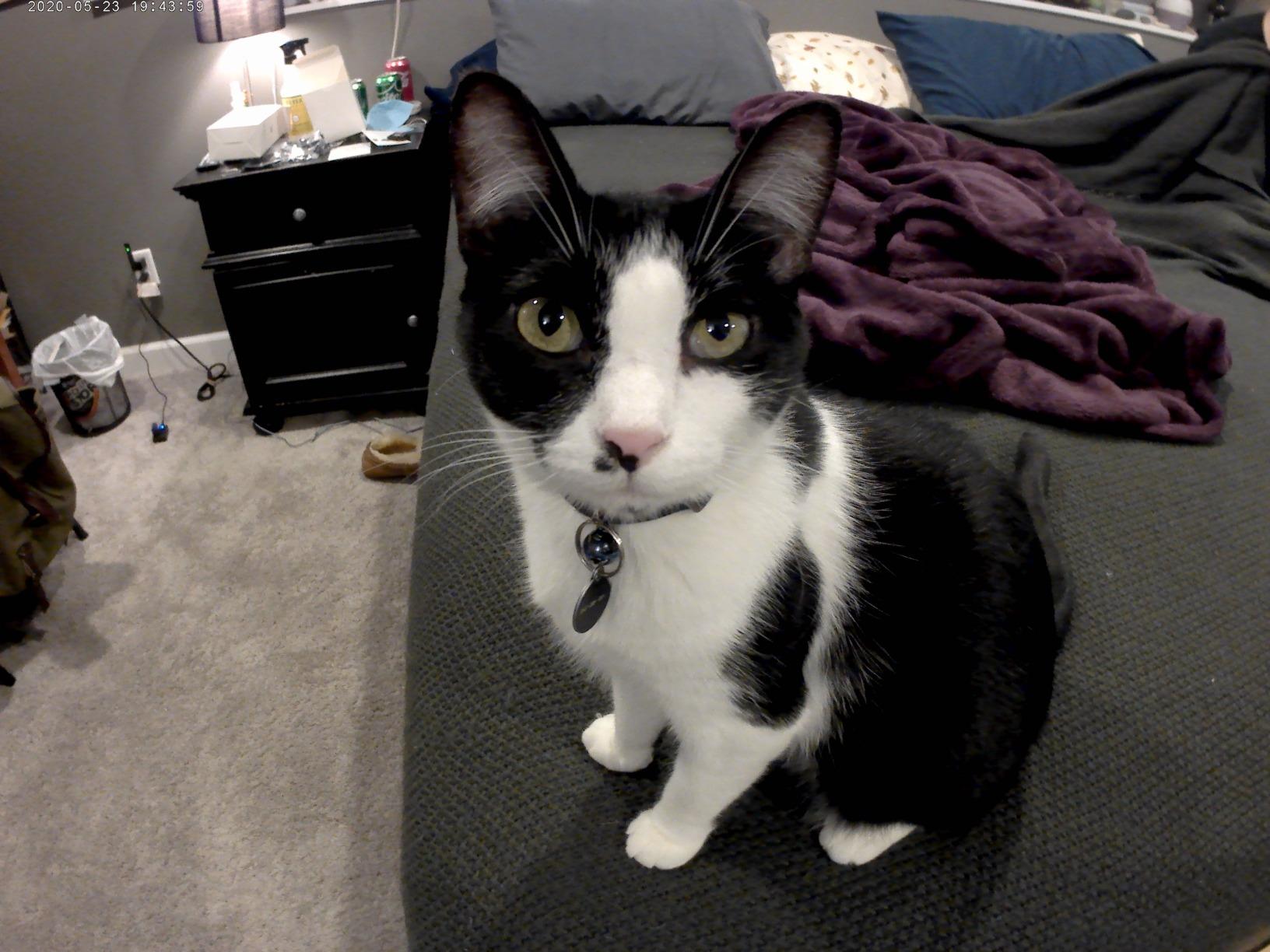 Dragon Touch 4K Action Camera - Vision 3 20MP Underwater Waterproof Camera with 4X Zoom 170° Wide Angle WiFi Sports Cam with Remote 2 Batteries and Mounting Accessories Kit customer photo 1