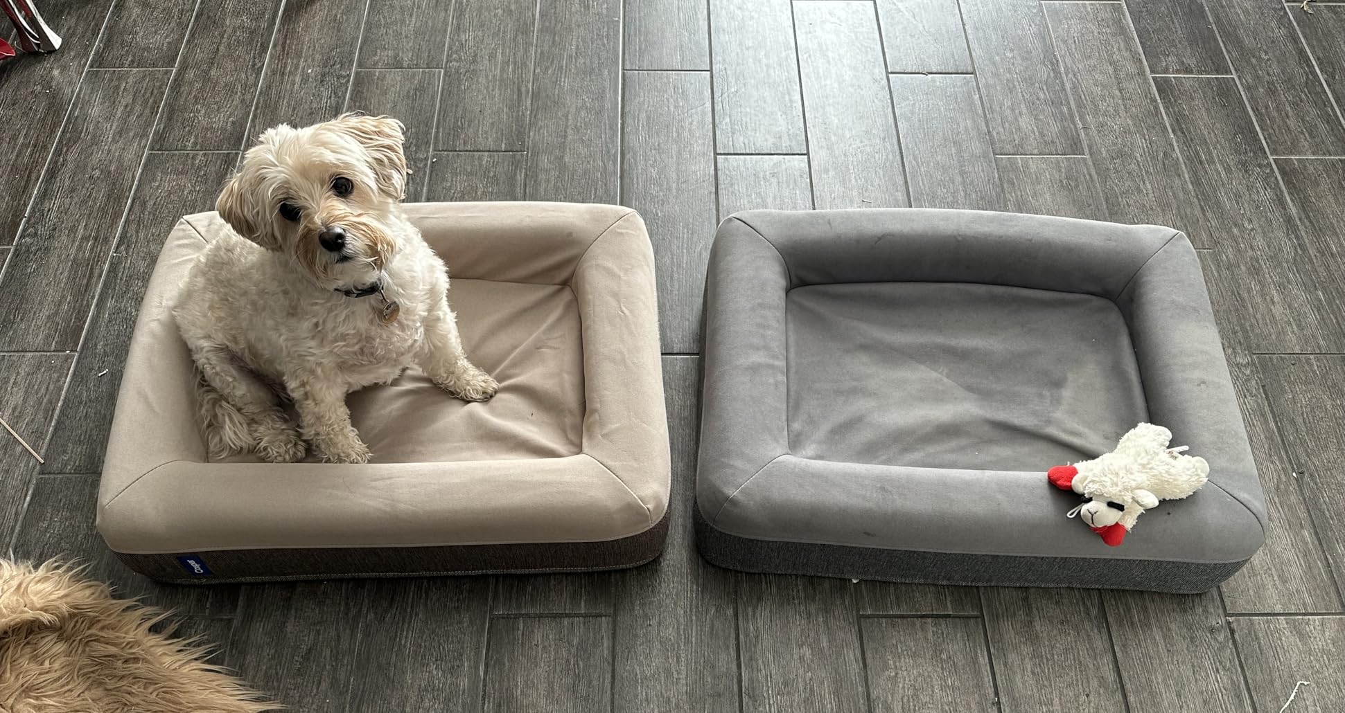 Casper Dog Bed, Plush Memory Foam, Small, Blue customer photo 1