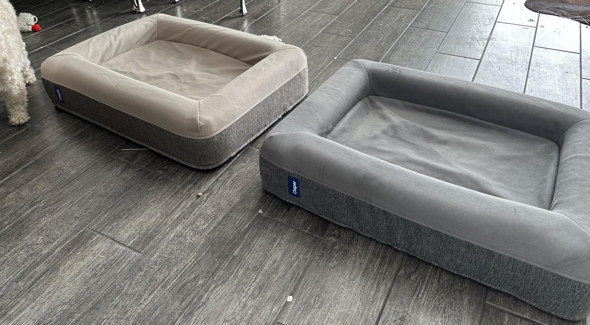 Casper Dog Bed, Plush Memory Foam, Small, Blue customer photo 2