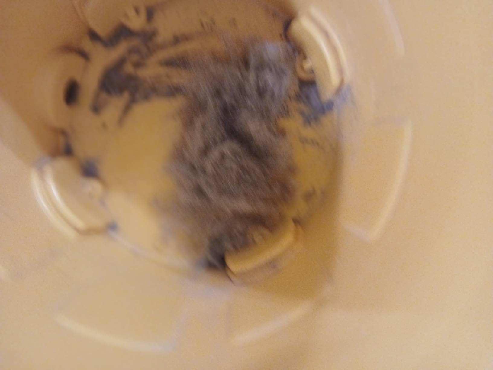 DEWALT DXV16PA 16 Gallon Poly Wet/Dry Vac, 6.5HP Shop Vacuum for Jobsite/Workshop customer photo 1