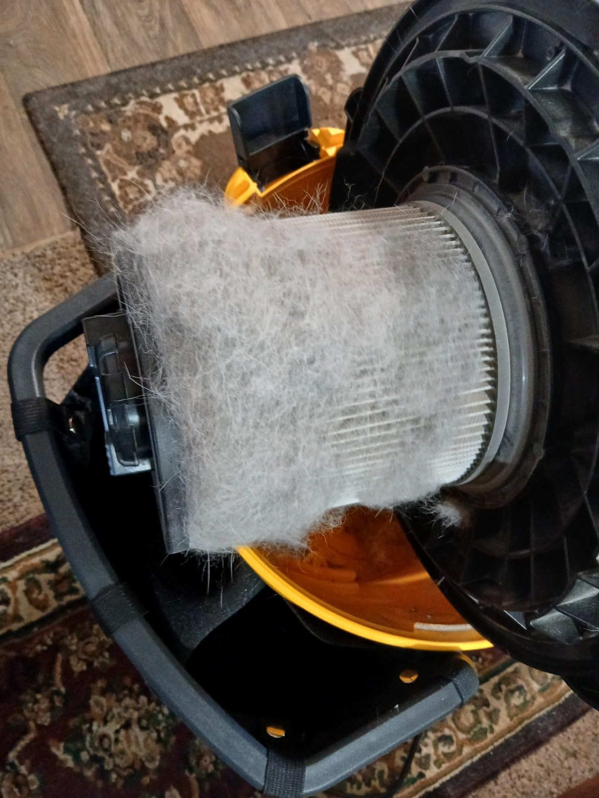 DEWALT DXV16PA 16 Gallon Poly Wet/Dry Vac, 6.5HP Shop Vacuum for Jobsite/Workshop customer photo 2