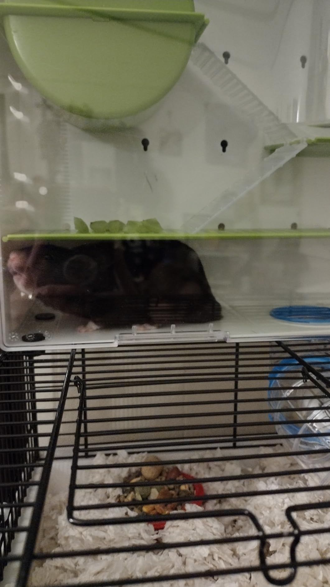 MidWest Homes for Pets Hamster Cage | Awesome Arcade Hamster Home (White) | 18.11 x 11.61 x 21.26 Inch customer photo 1