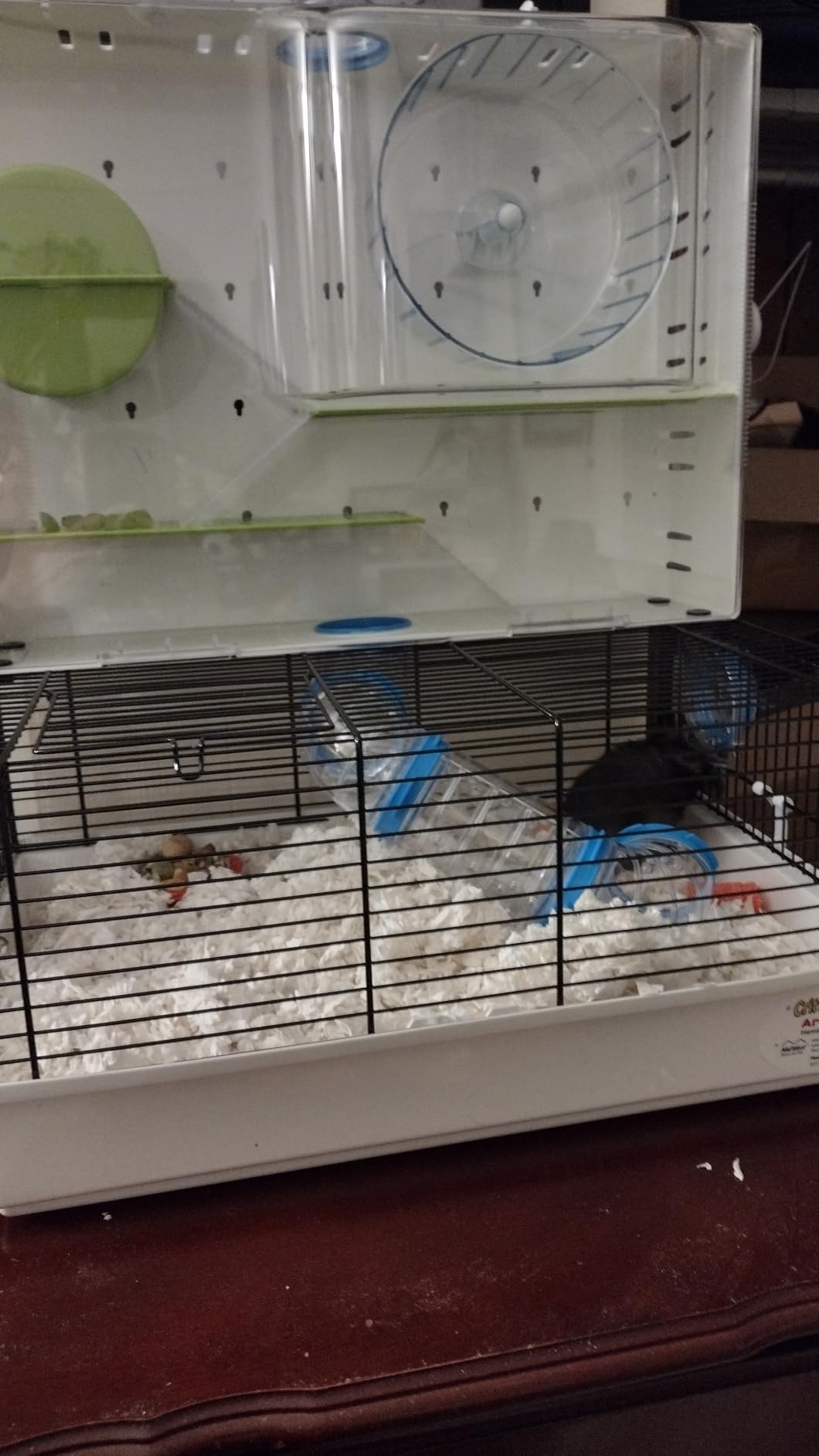 MidWest Homes for Pets Hamster Cage | Awesome Arcade Hamster Home (White) | 18.11 x 11.61 x 21.26 Inch customer photo 2