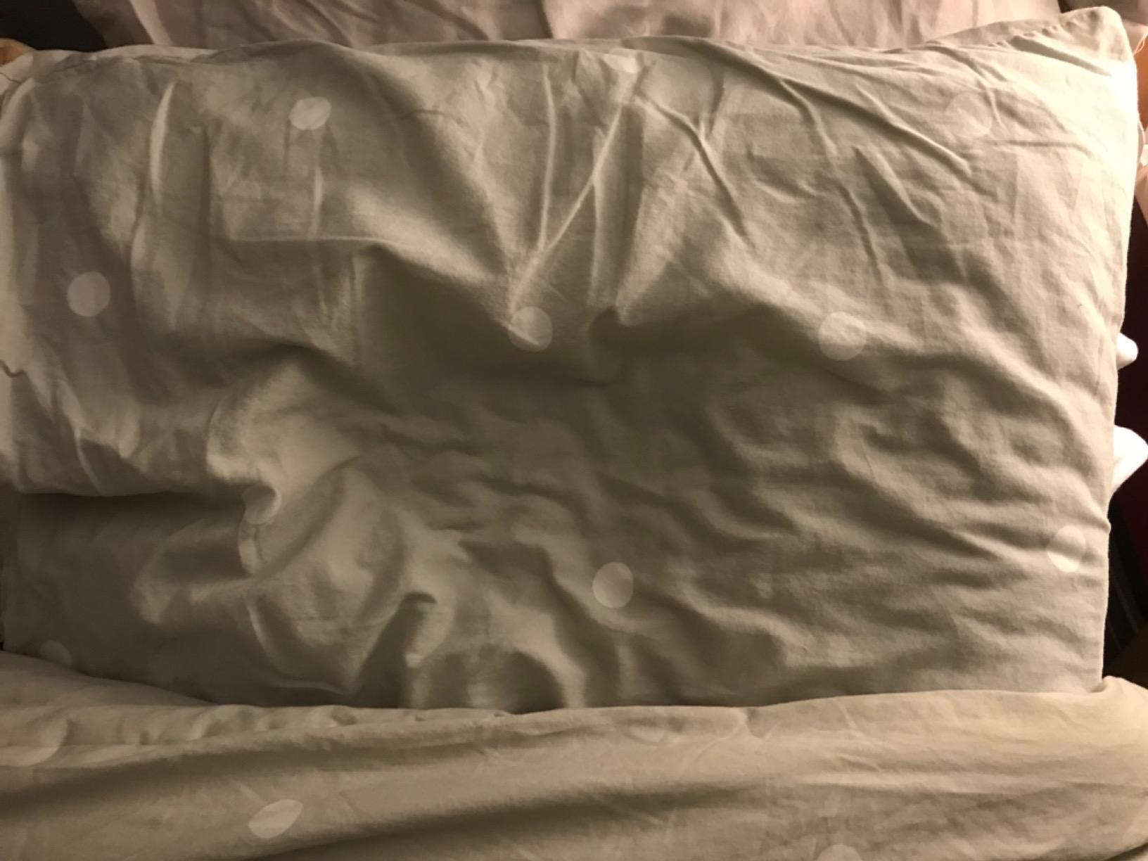 TEMPUR-Cloud Pillow for Sleeping, Standard, White customer photo 1